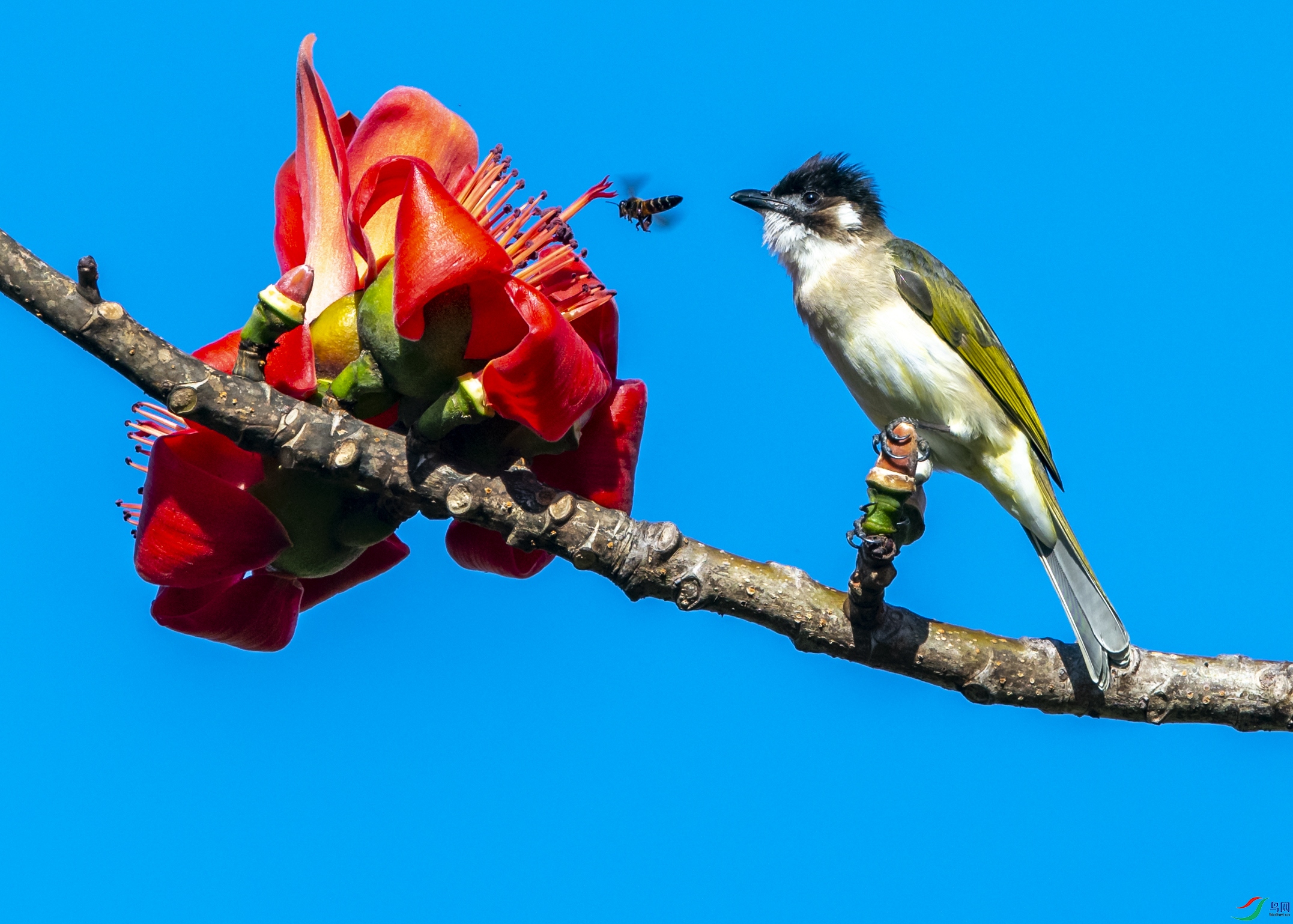 9083 ����.jpg