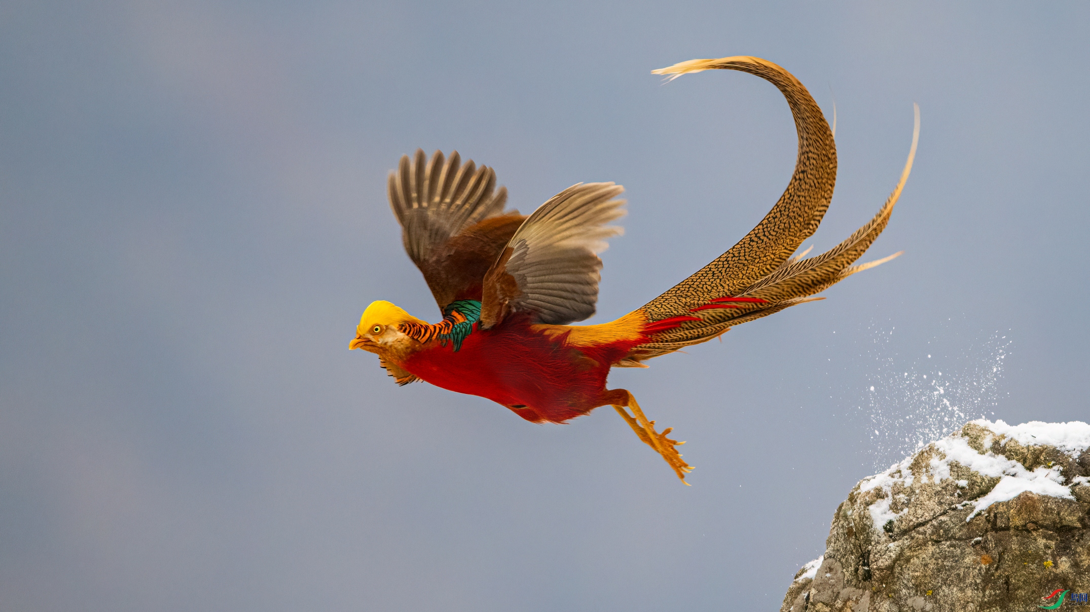 ��Ƭ_DSC5376 ����.jpg