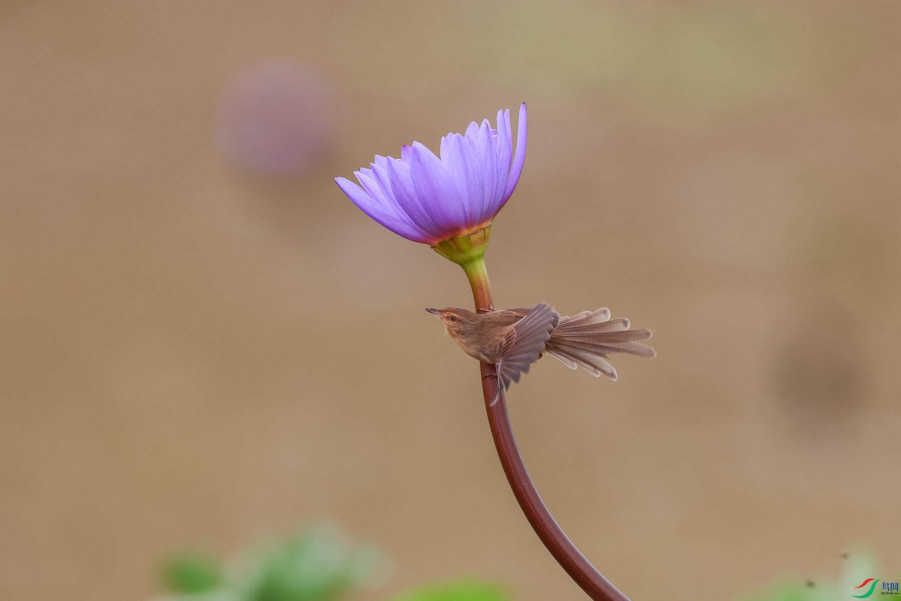 0E2A2213_����.jpg