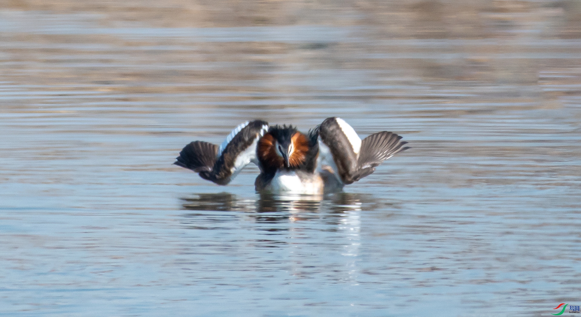 DSC_3418 ����.jpg