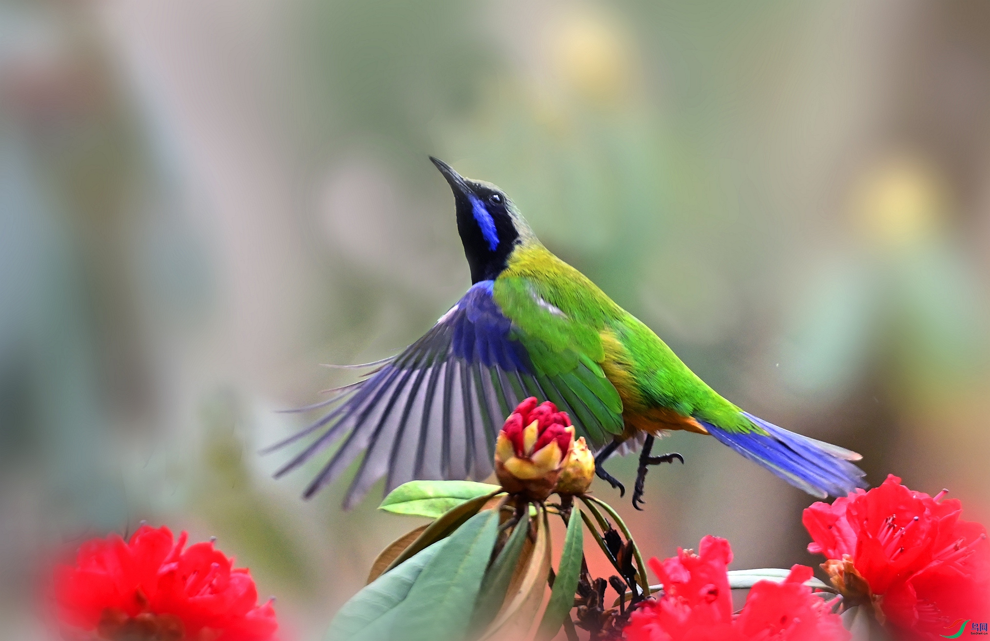 DSC_6367_����d_����.jpg