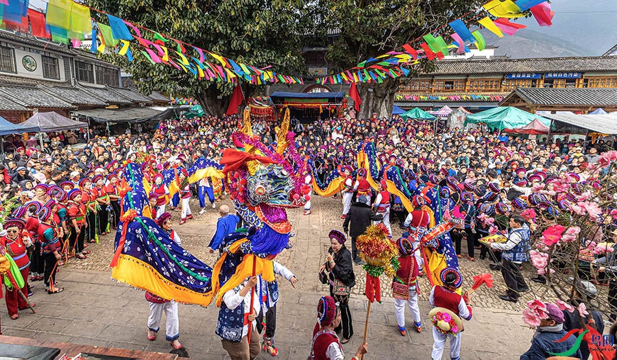 3V6A9508 ����.jpg