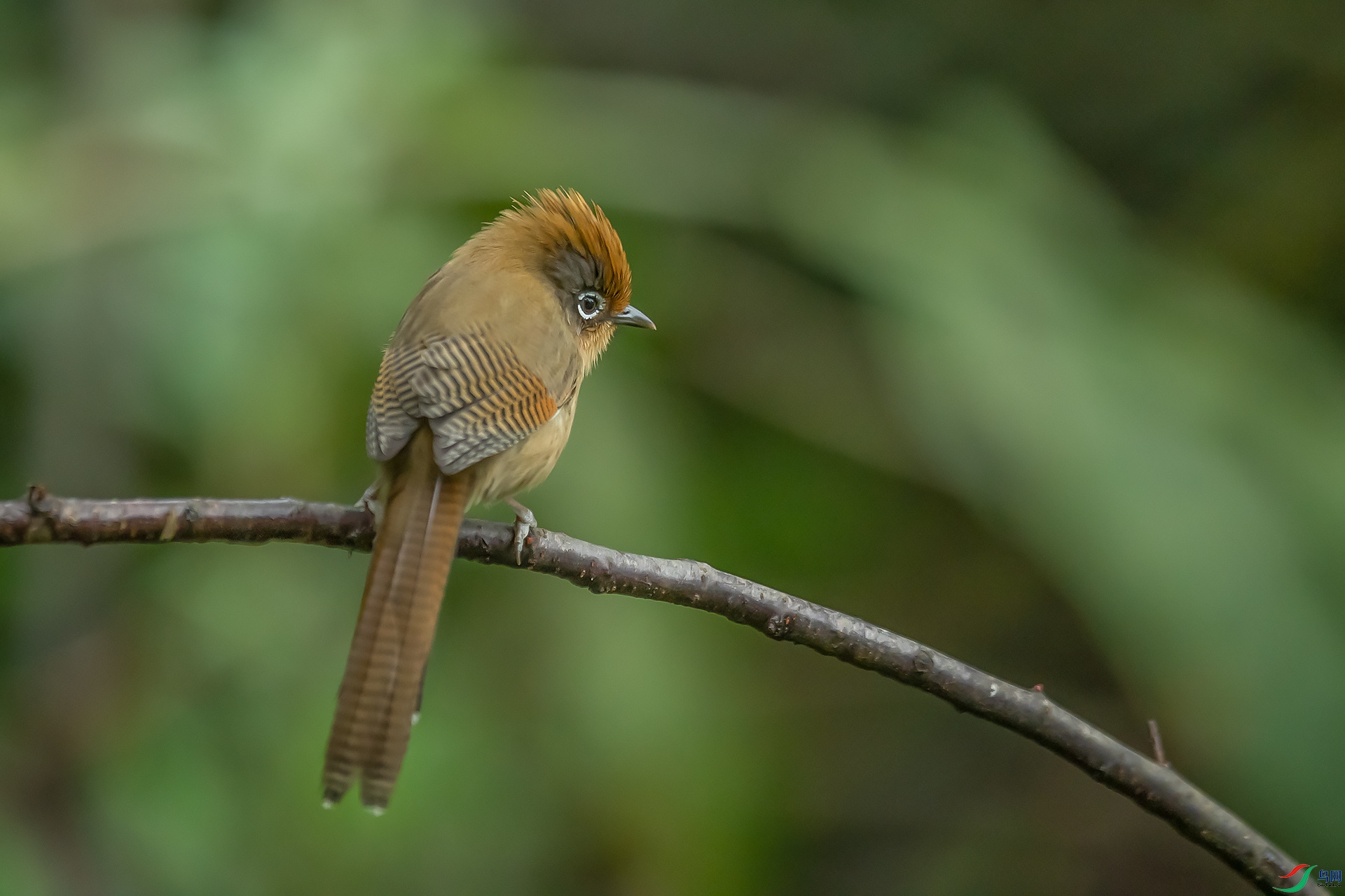 DSC_0642.jpg