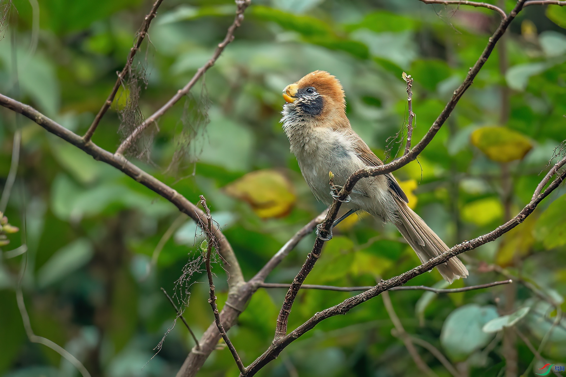DSC_8310.jpg