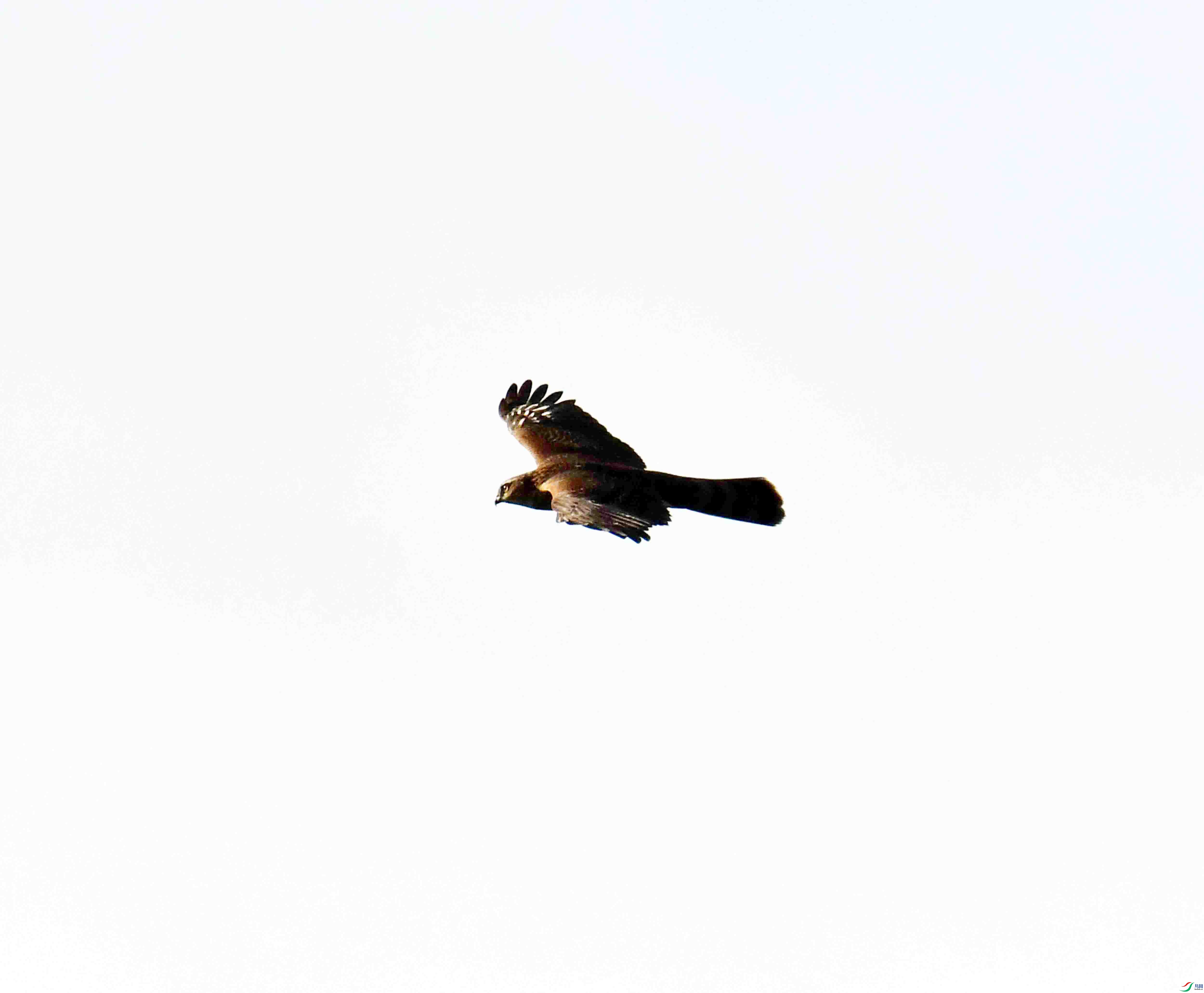 DSC_0762.JPG