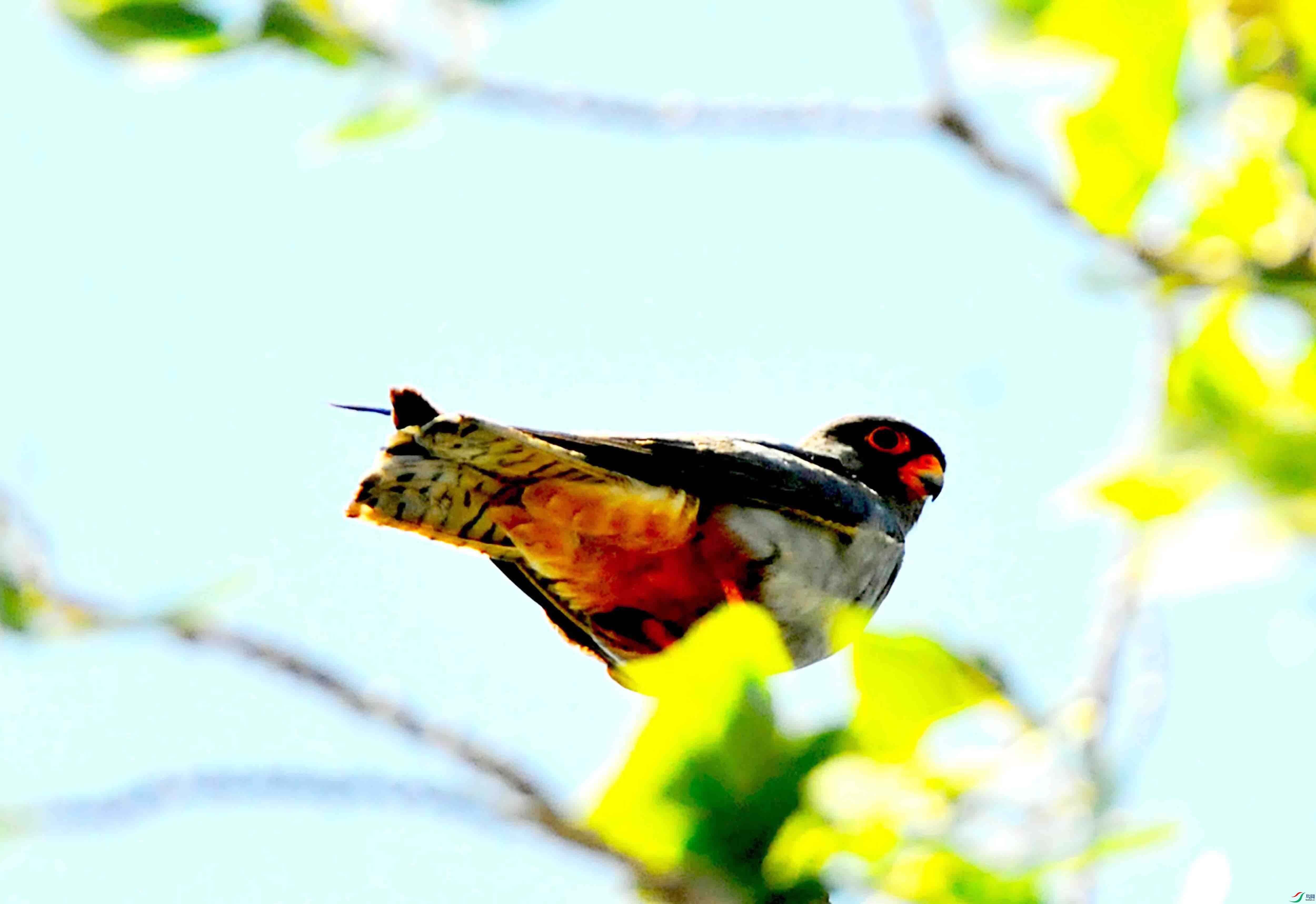 DSC_4148.JPG