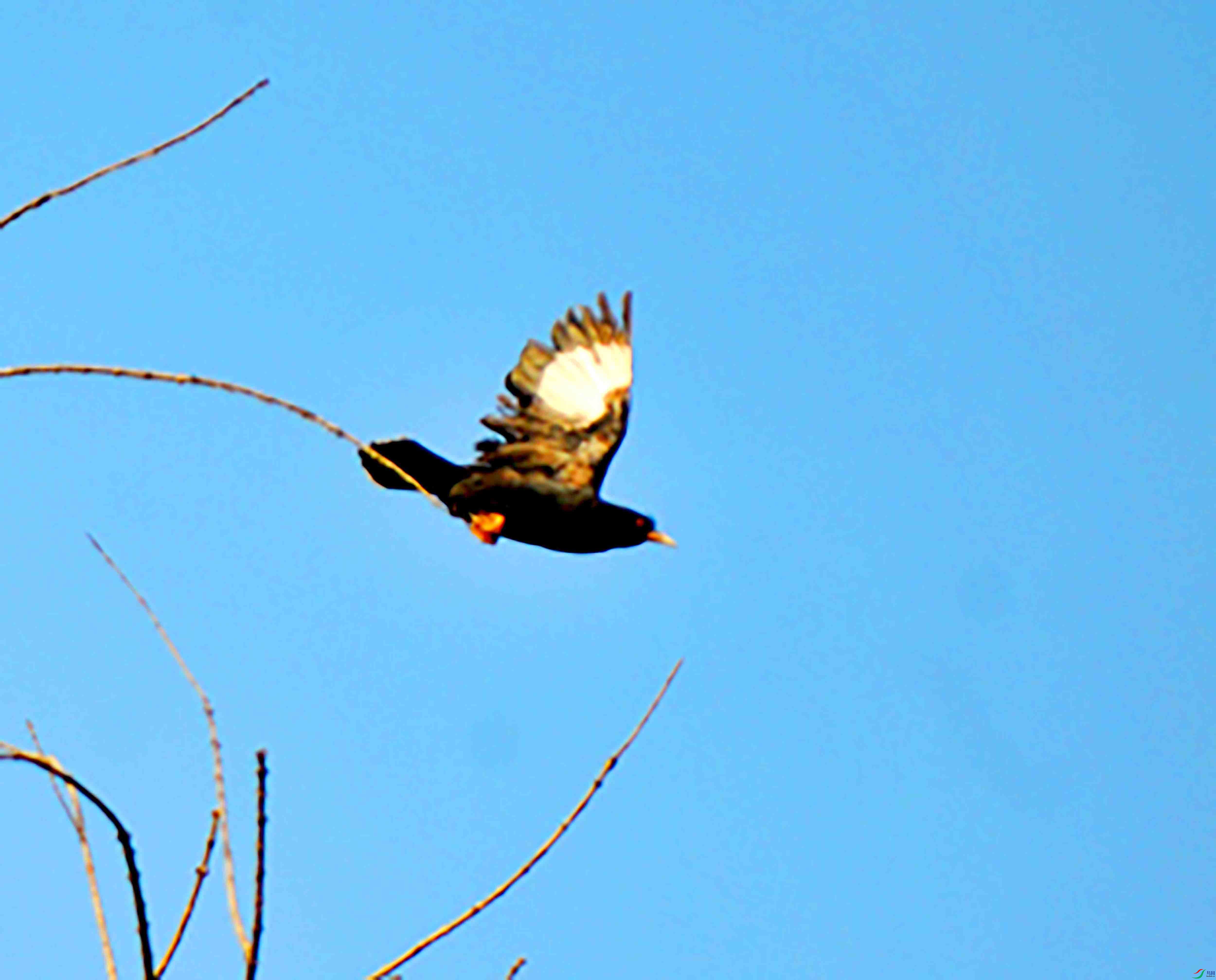 DSC_5568.JPG