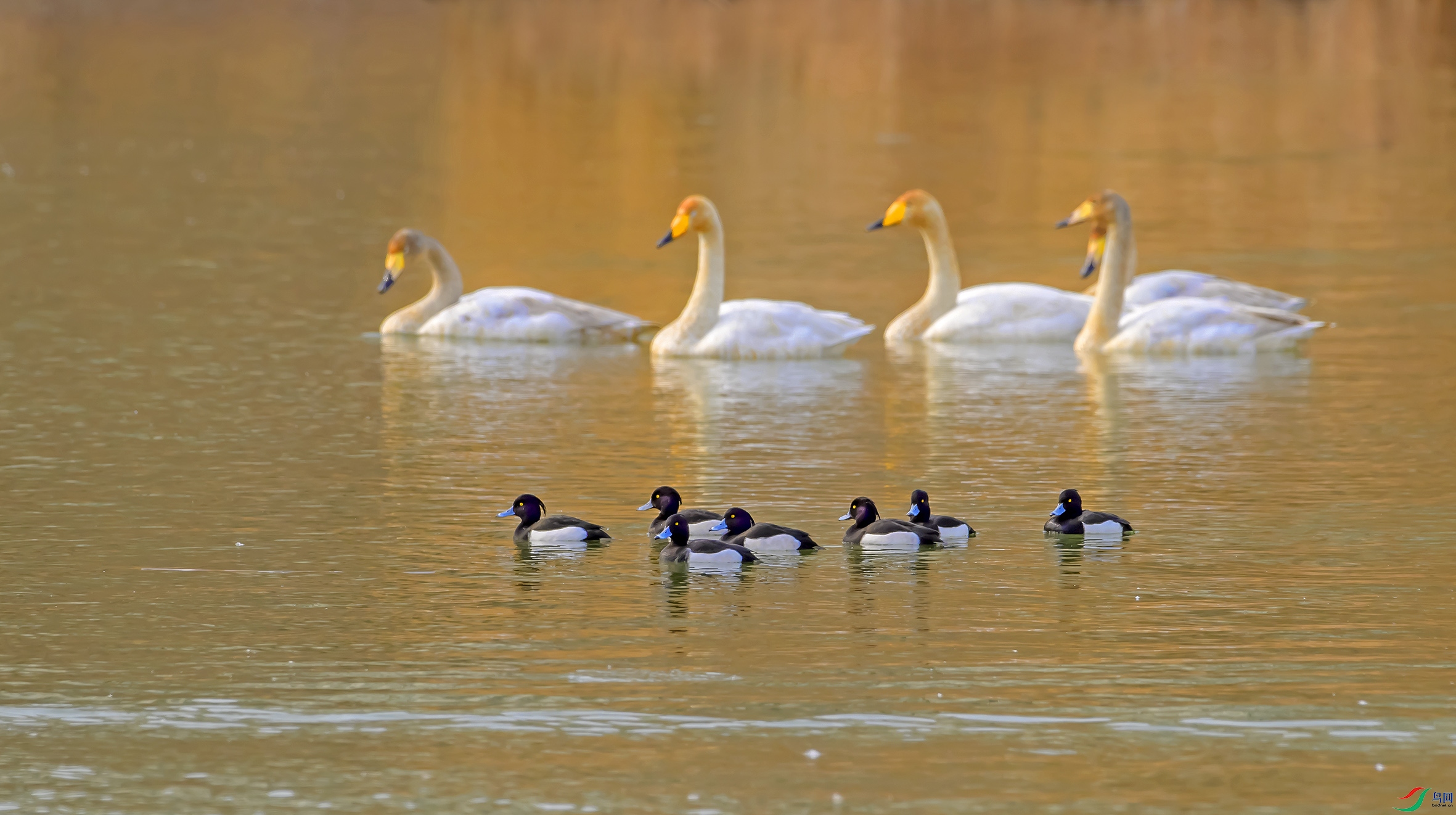 DSC_6823.jpg