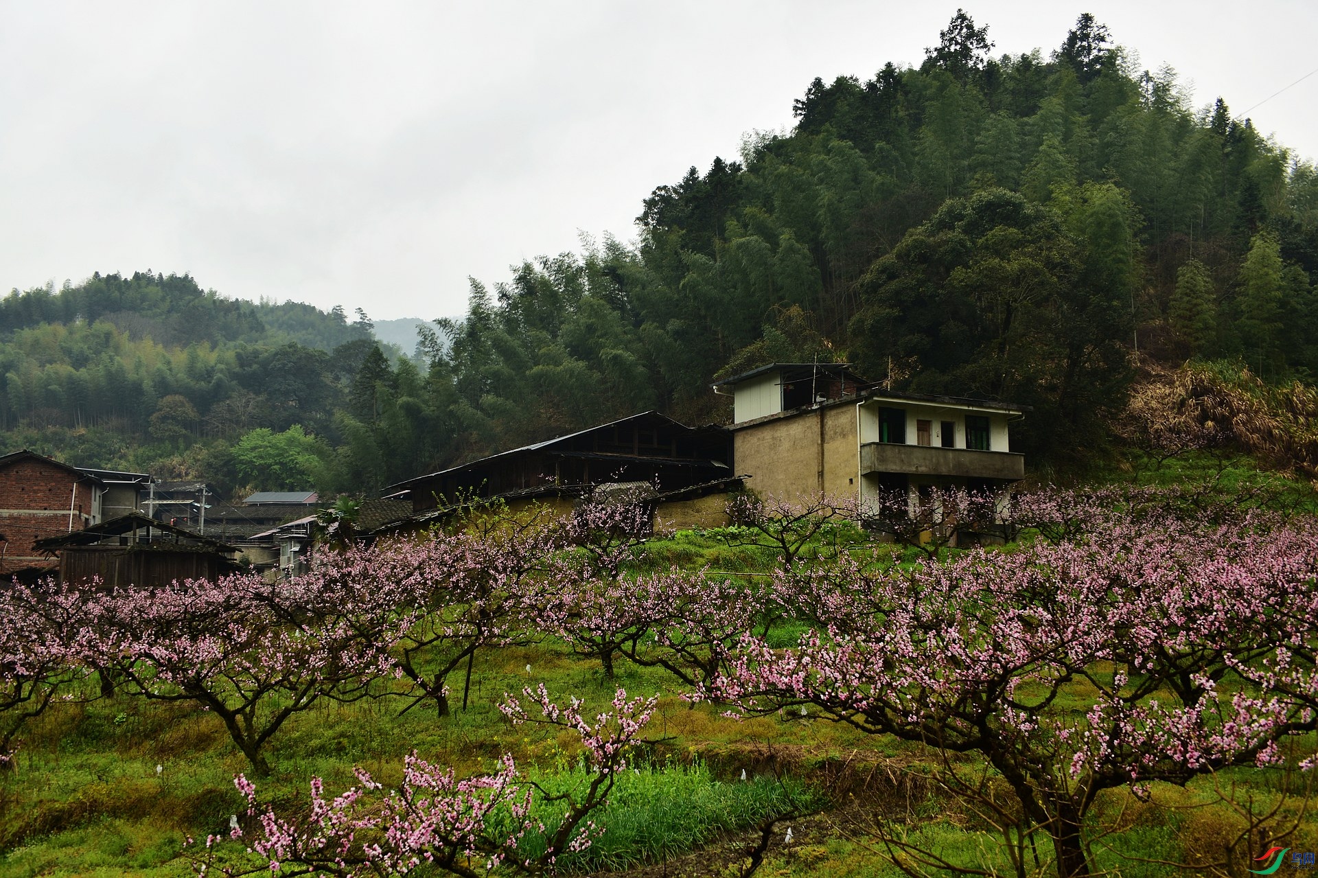 D8I_0713.jpg