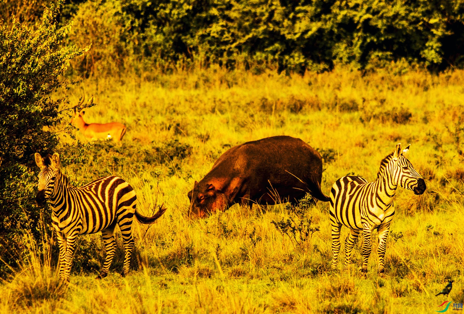 DSC_0185.jpg