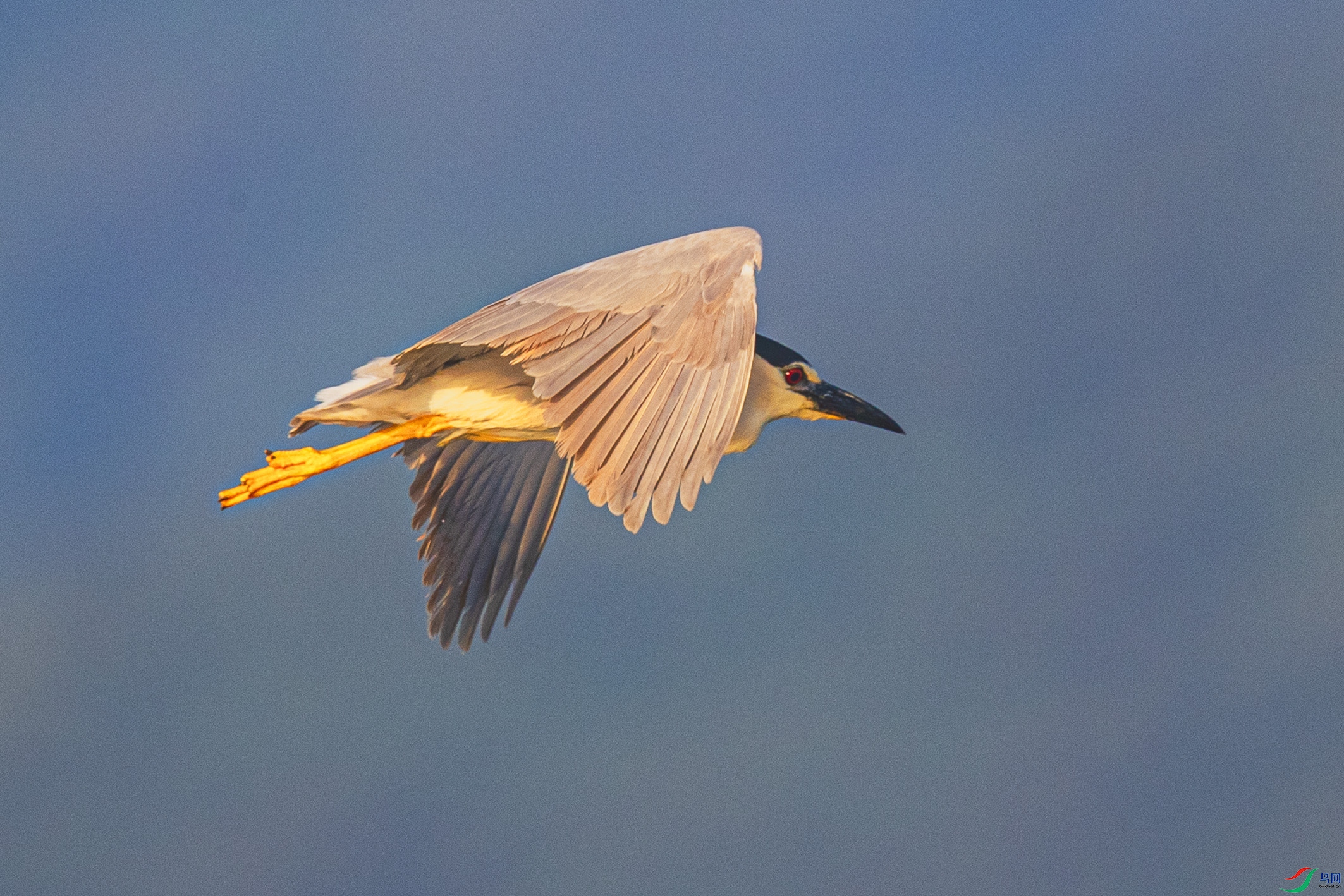 _90I9100 ����.jpg