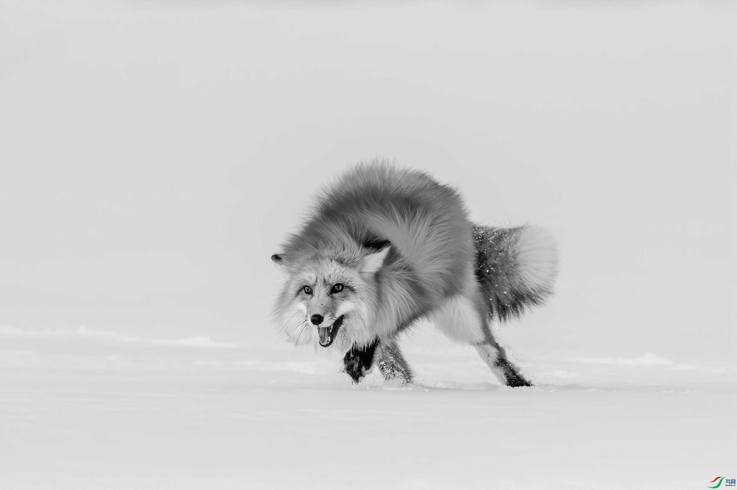 AC3I1690 ����_����.jpg