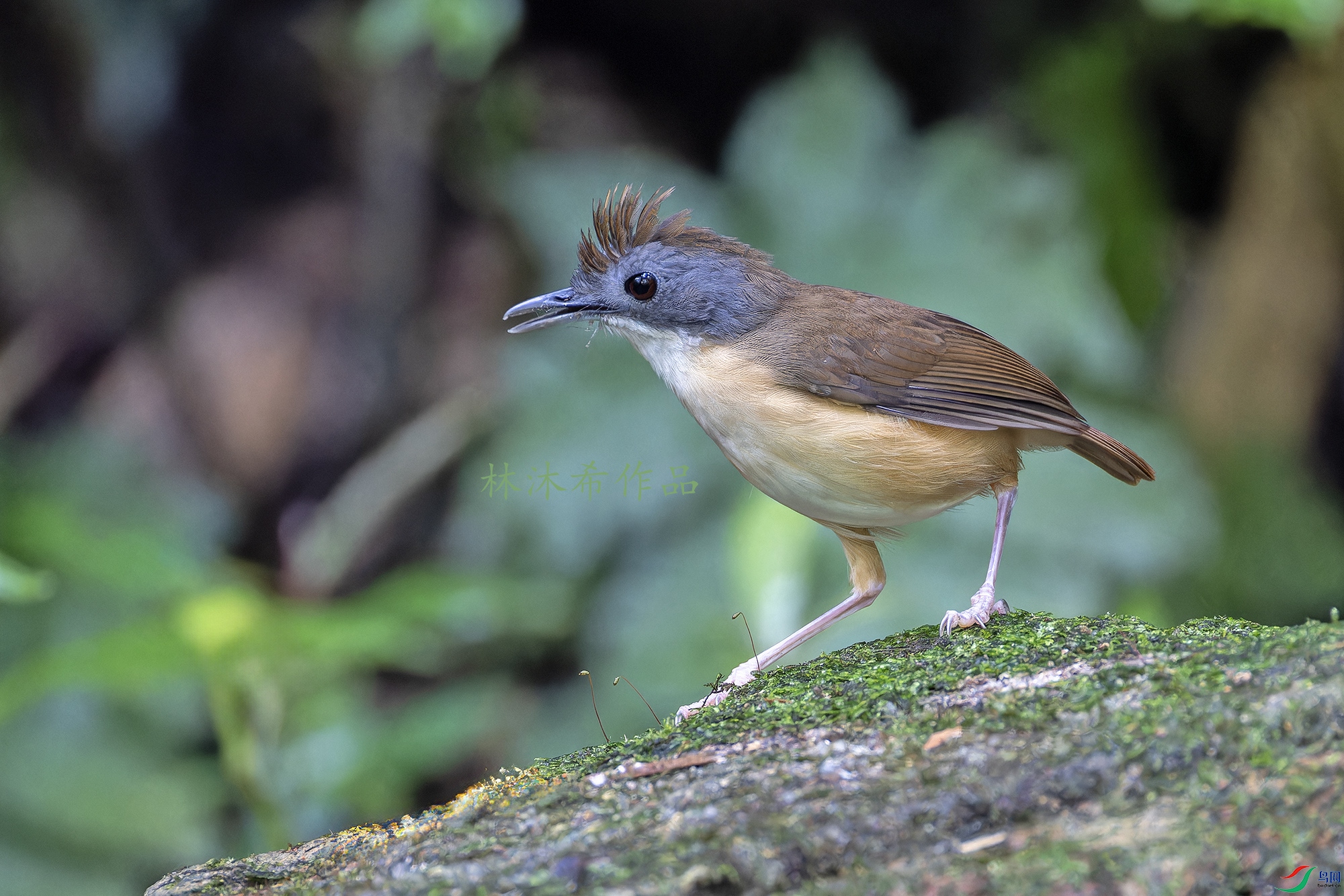 _97A3631-CR3 copy.jpg