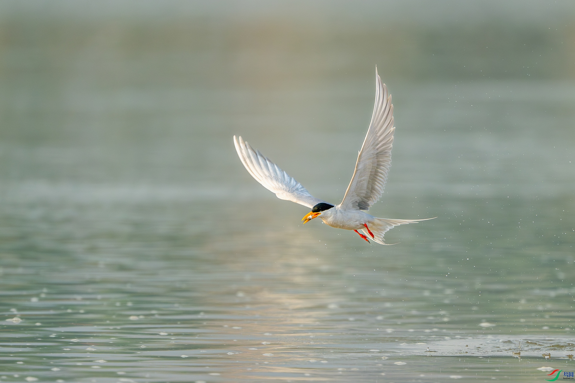 _DSC7046-����ǿ-NR ����.jpg