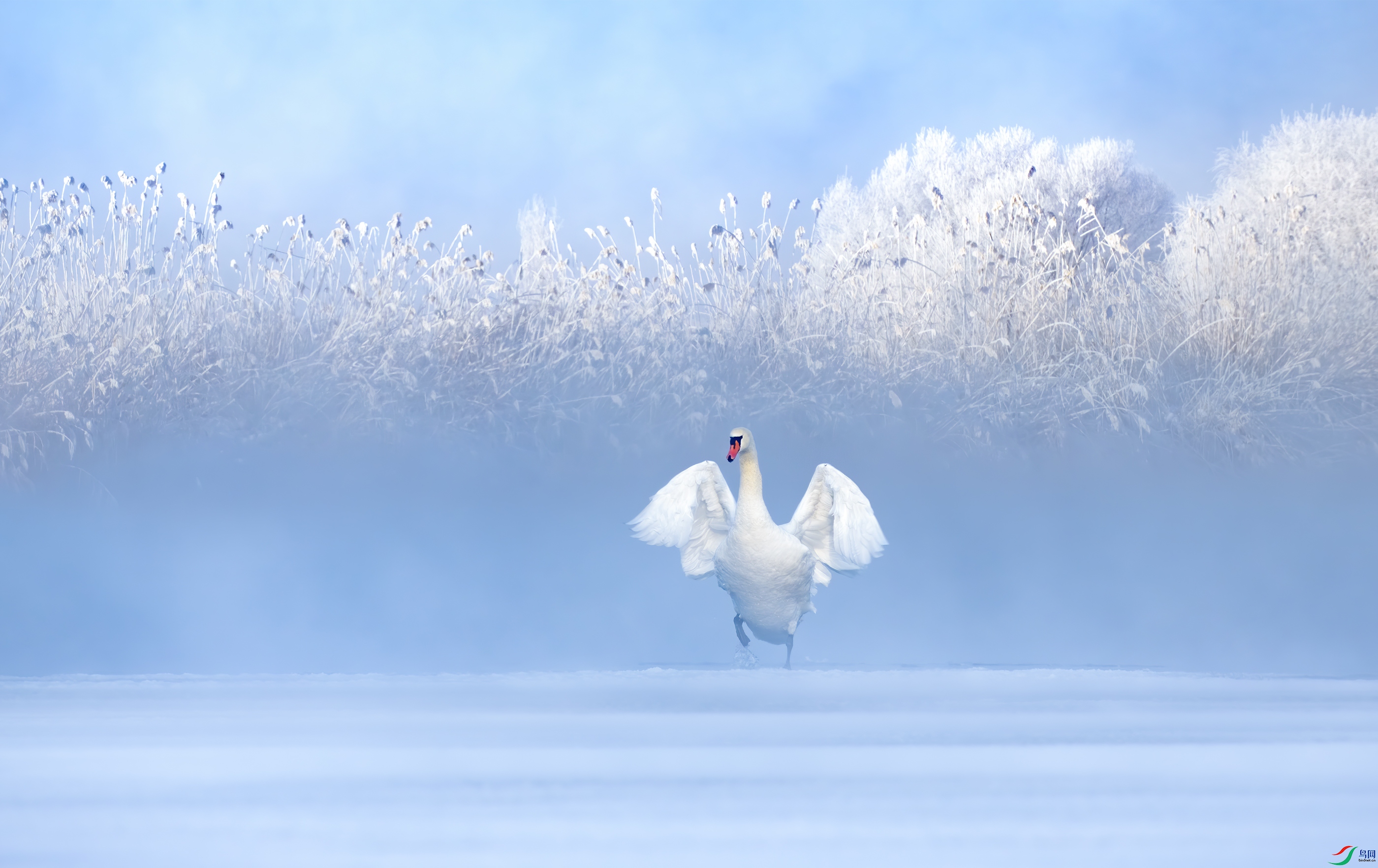 DSC_3512-1-�ָ���1.jpg