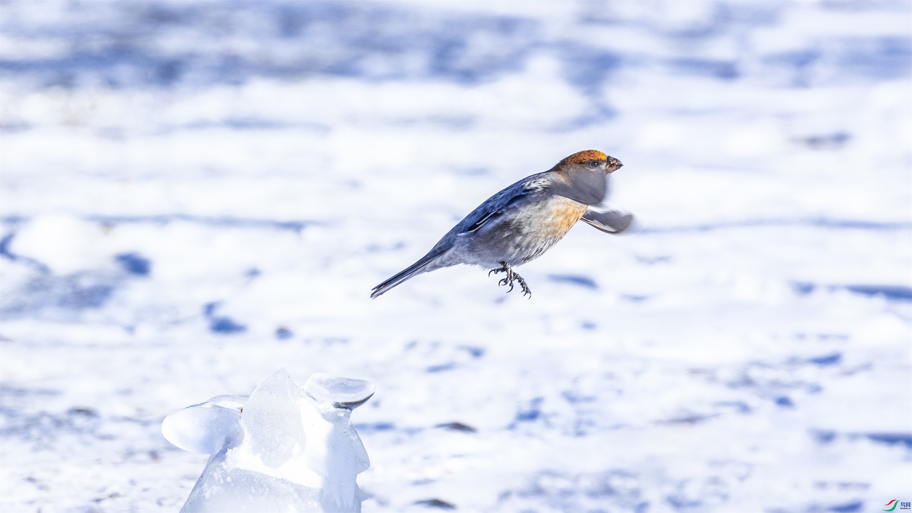 1K3A3053 ����1.jpg