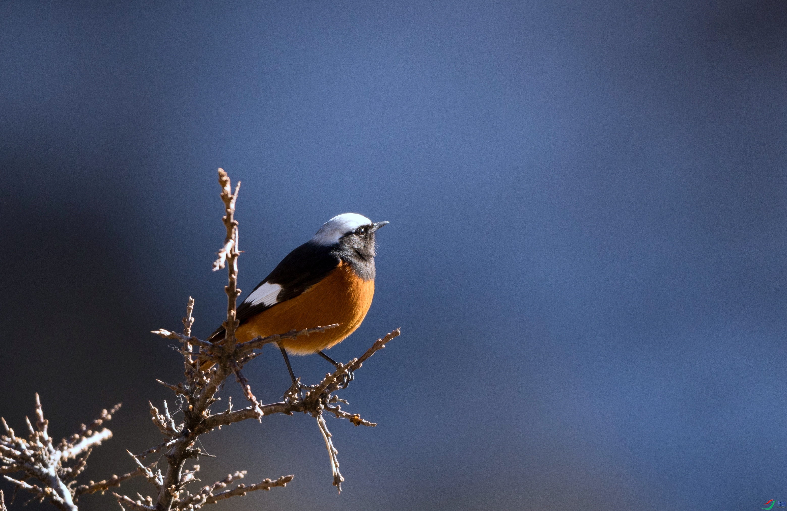 7X5A4882 ���� - ����.jpg