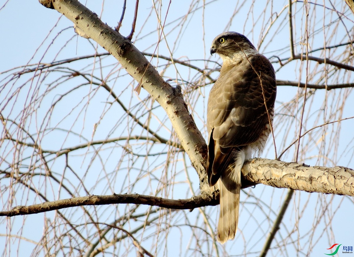 8605ȸӥ-24.JPG