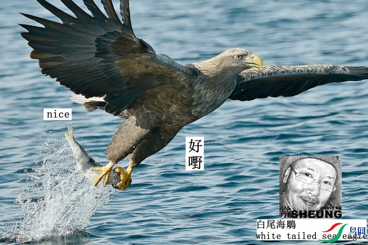 ssd DSC_1667 3nmete.jpg