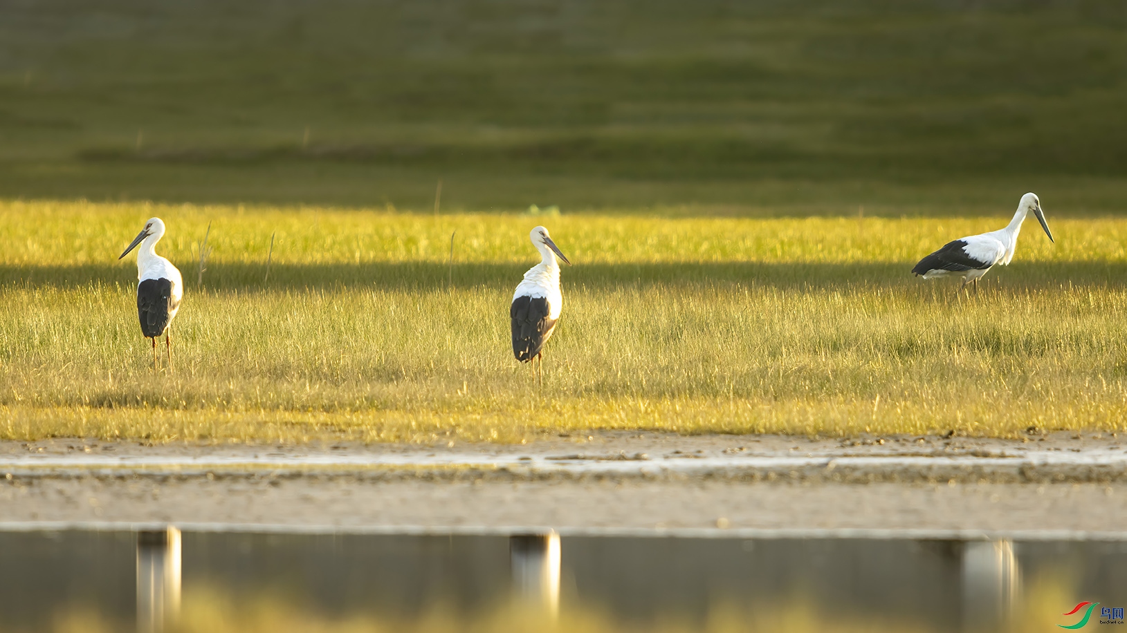 5A7A7009 ���� 2.jpg