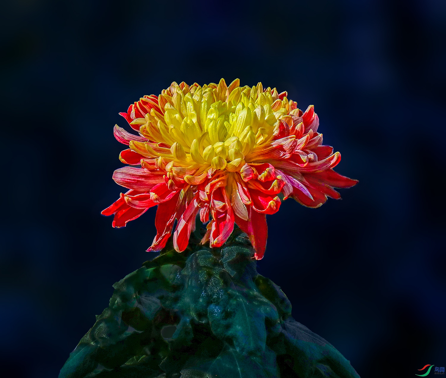 0000583A0327 ī��1000k.jpg