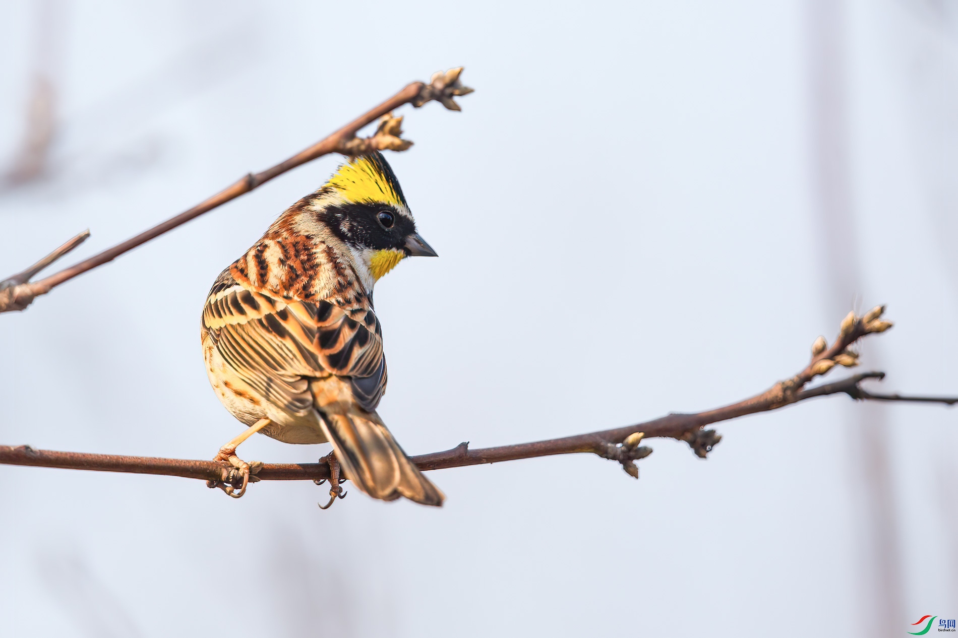 AQ4P8623-1.jpg