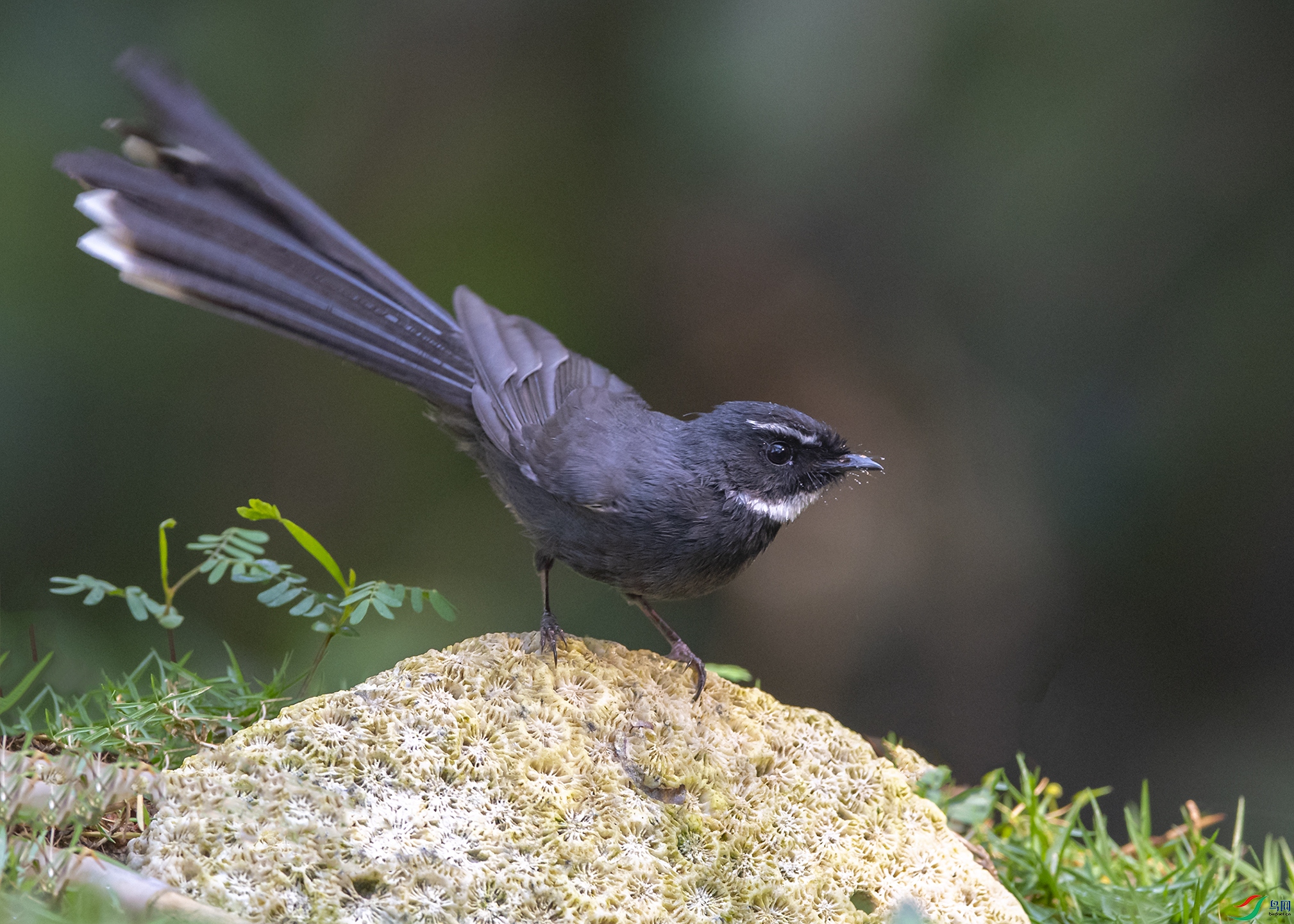 5428 ����.jpg