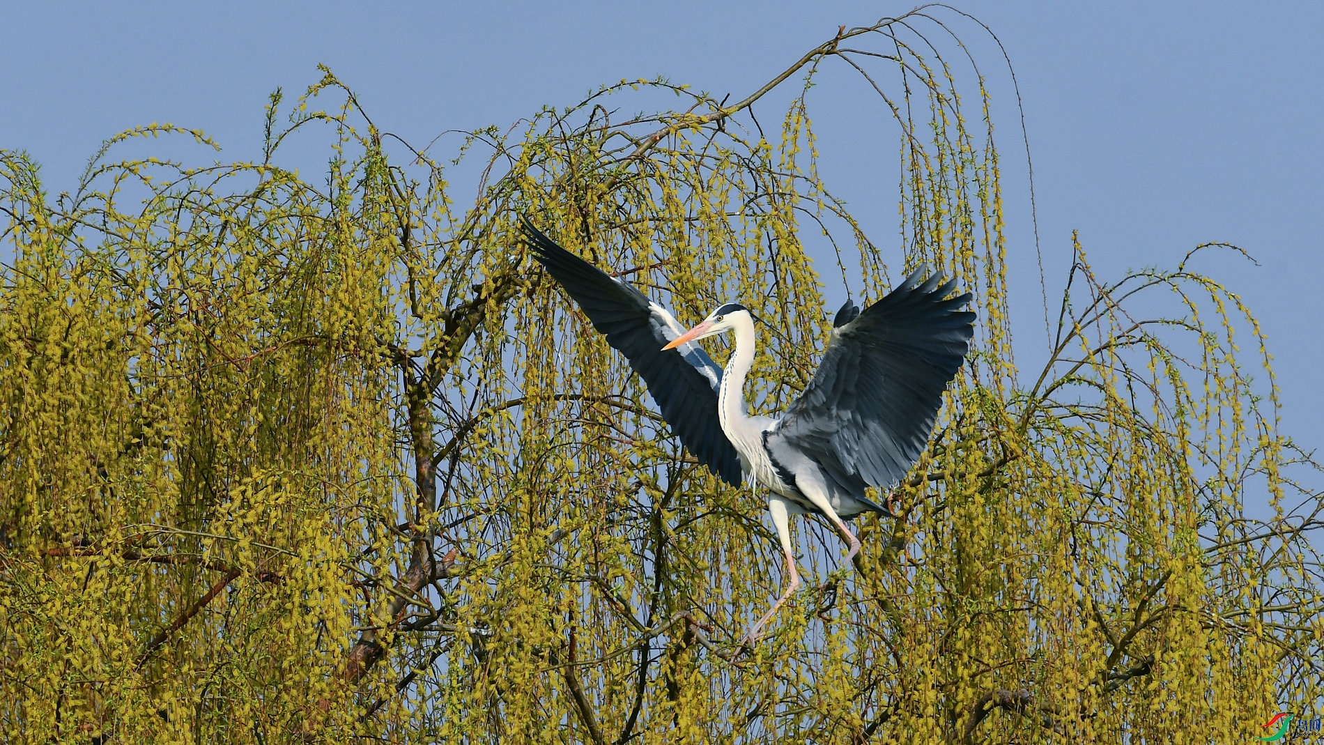 DSC_6244.JPG