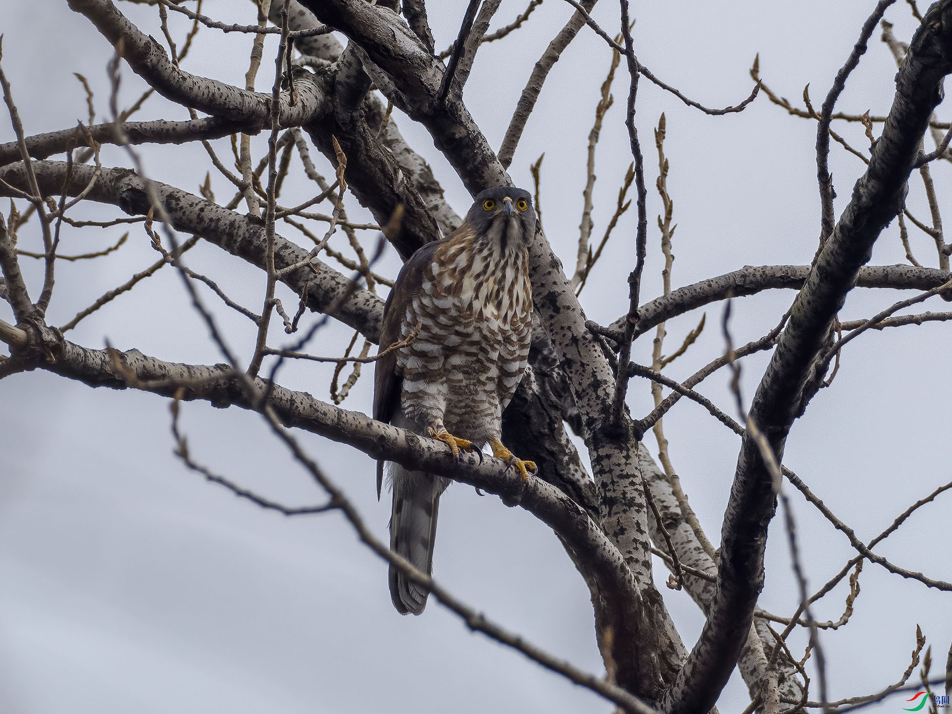 01 P2271085-DeNoiseAI-standard.jpg