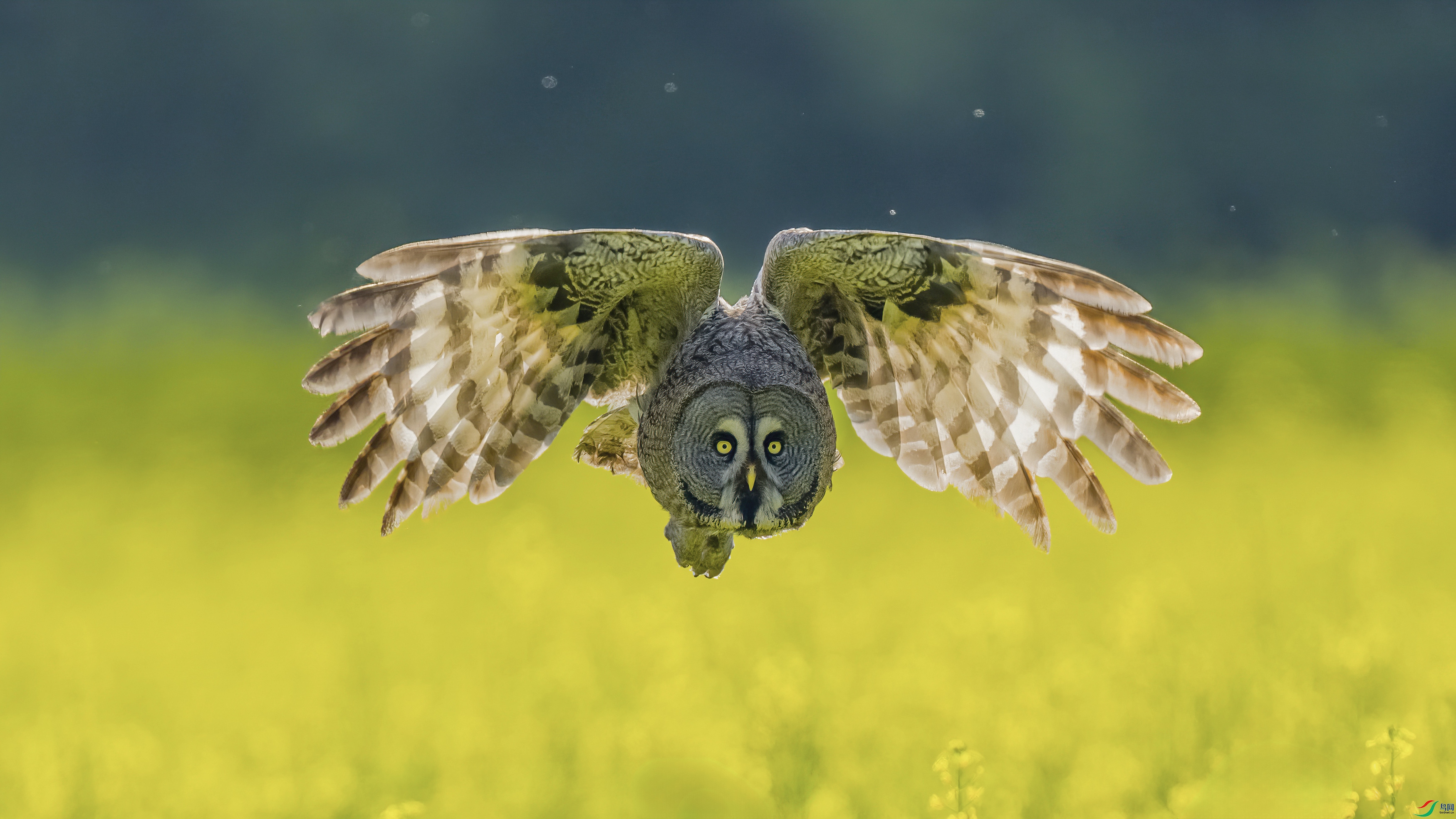 007-DSC06171A ����.jpg