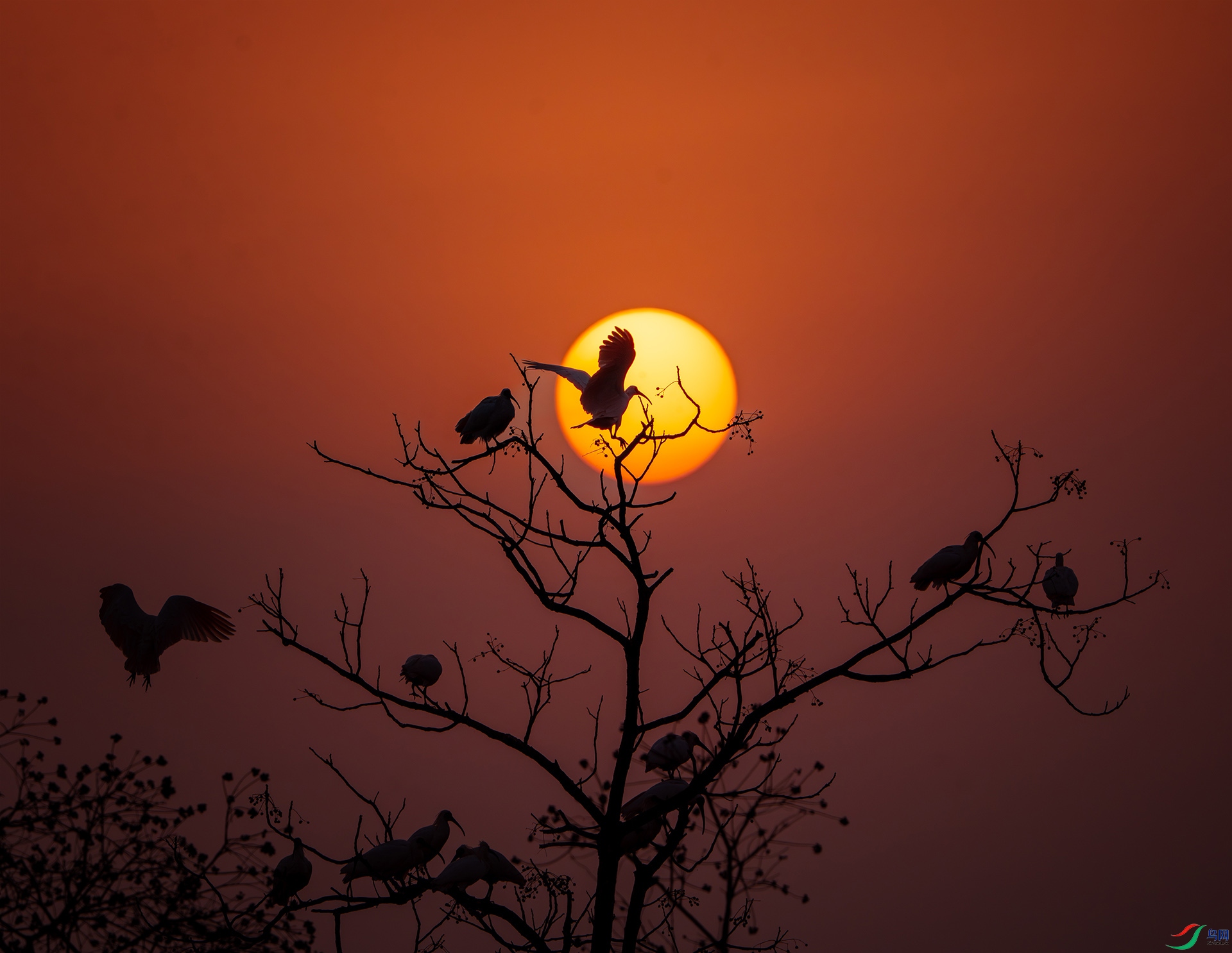 _DSC0745-����ǿ-NR-1 ���� 2.jpg