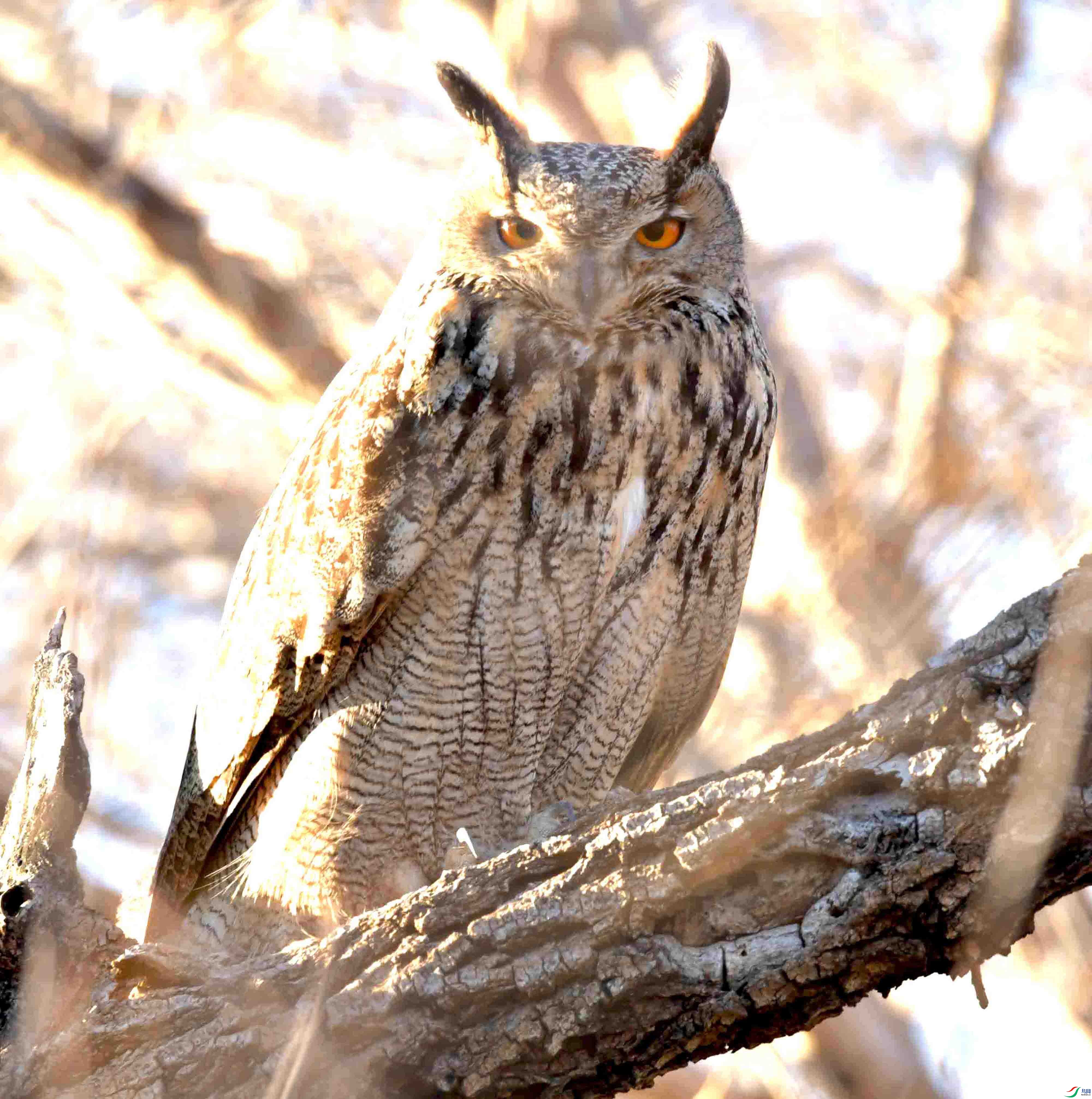 DSC_8155.JPG