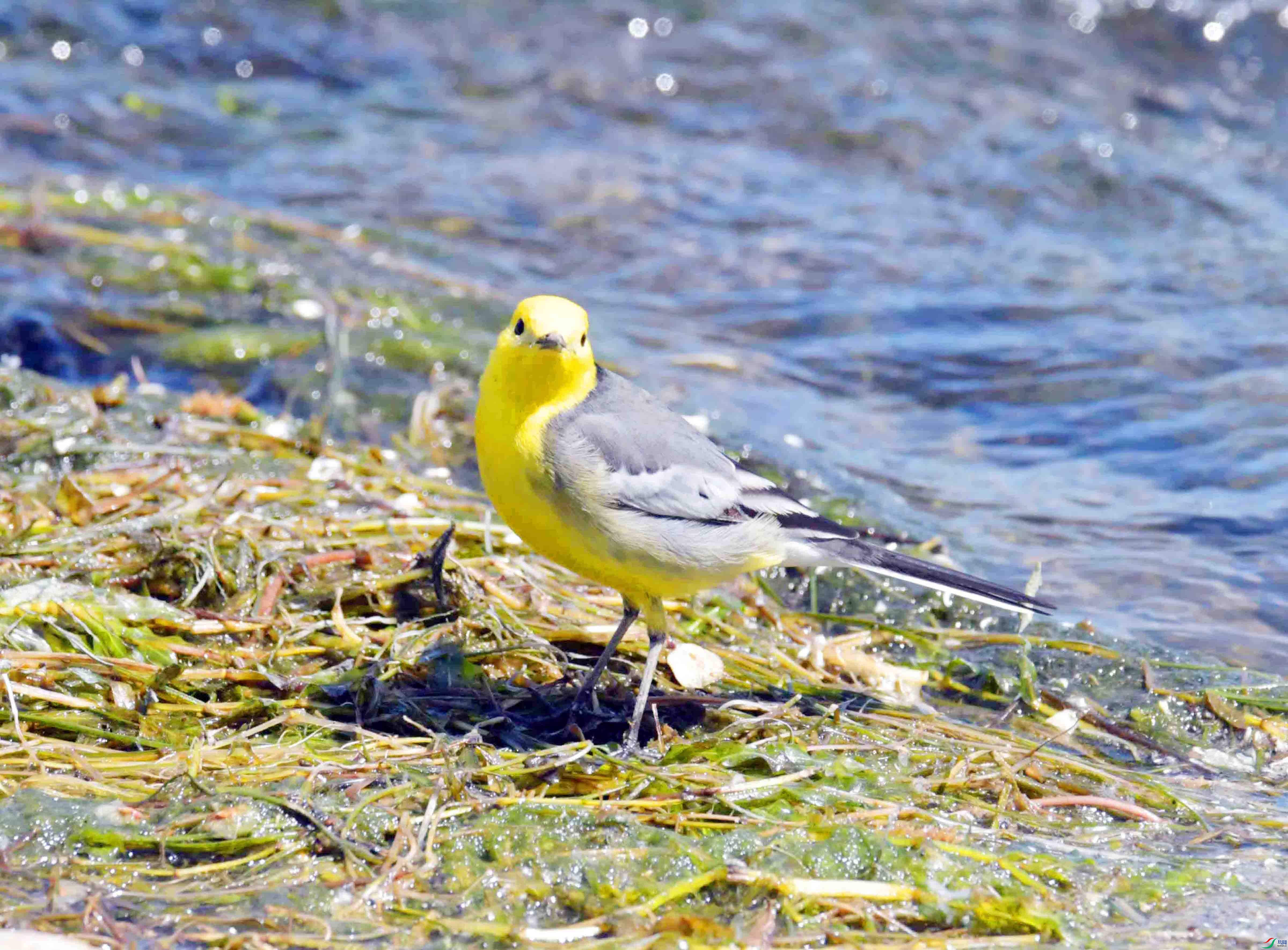 DSC_0232.JPG