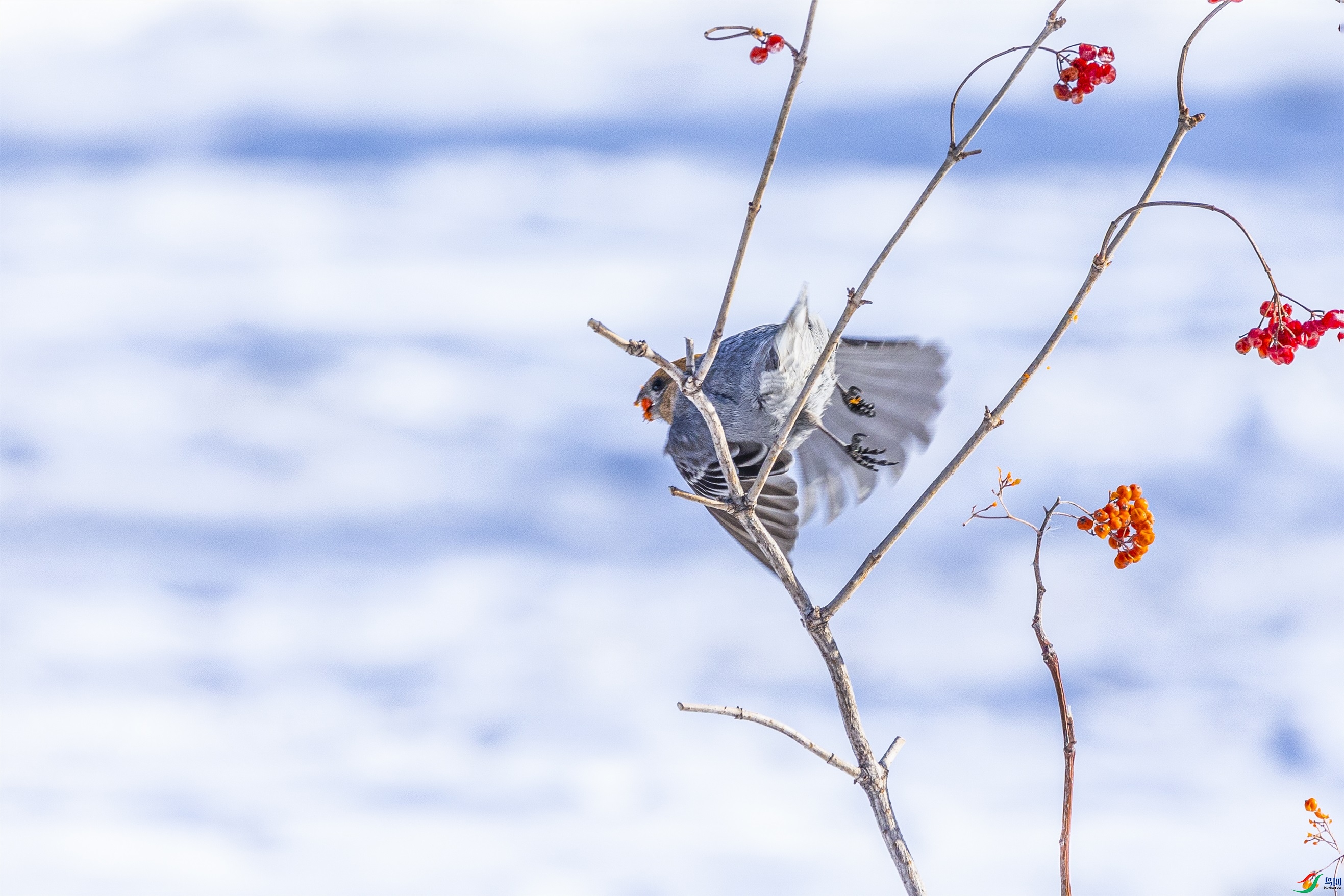 1K3A9295 ����1.jpg