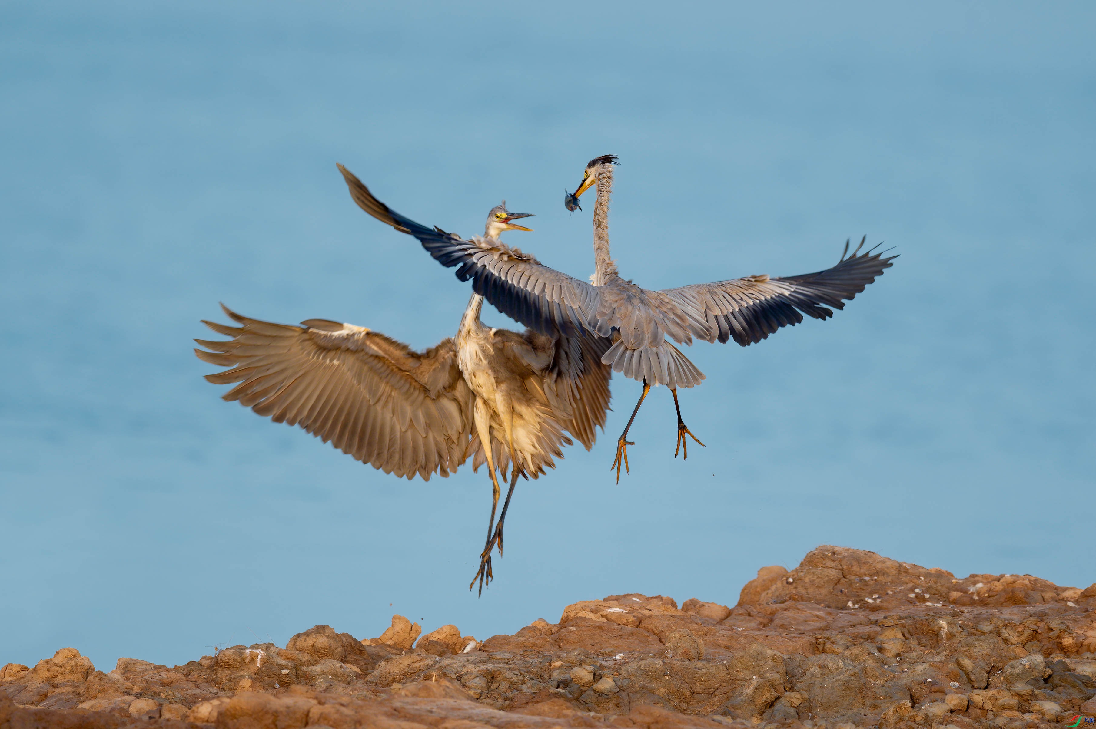 sen2016 8-4-8-�༭-3.jpg