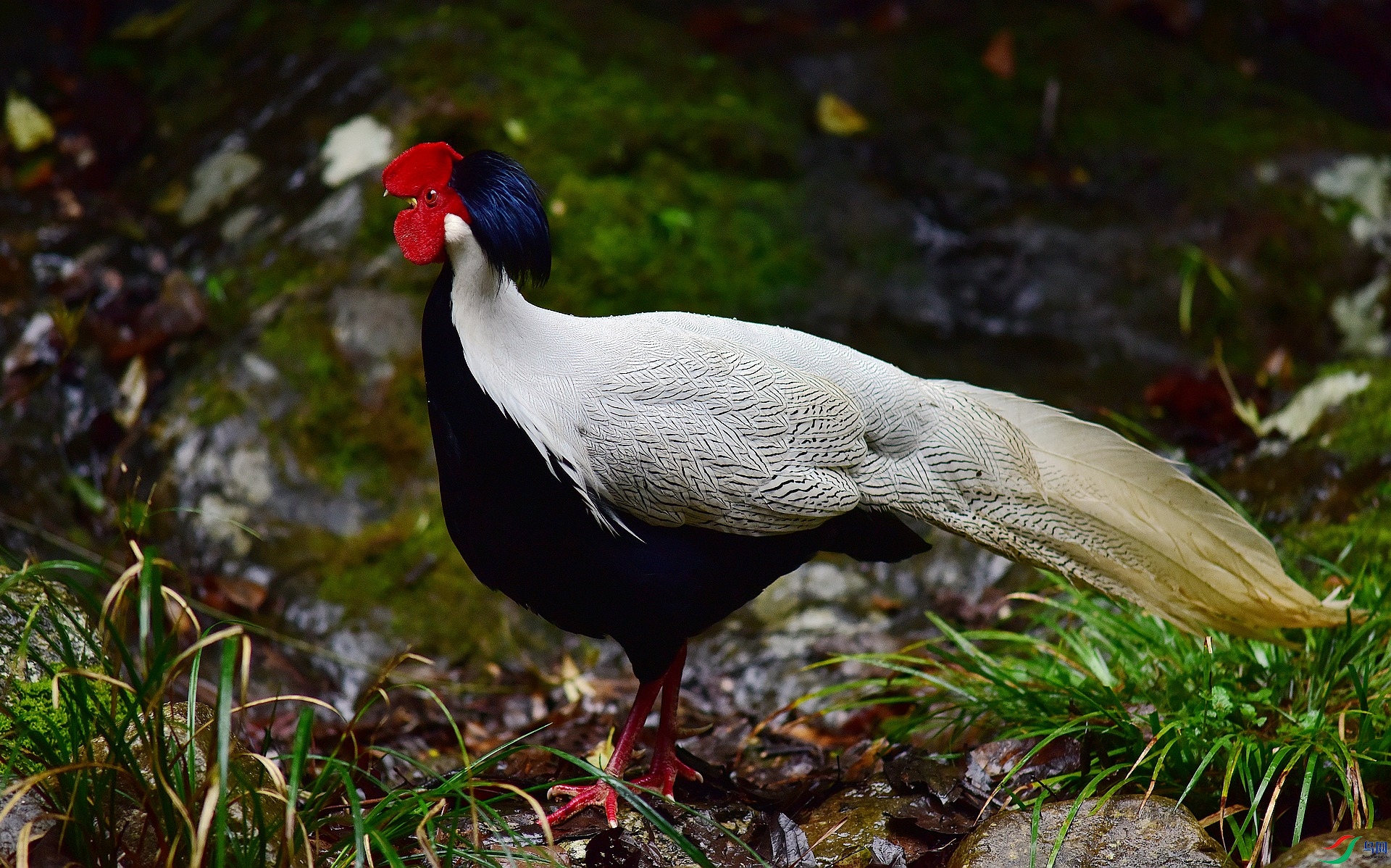D8I_3086.jpg