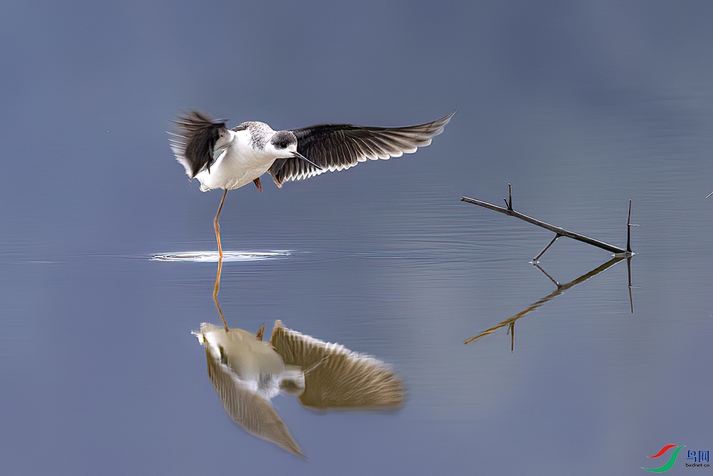 ���ݳ����� (2) ����.jpg