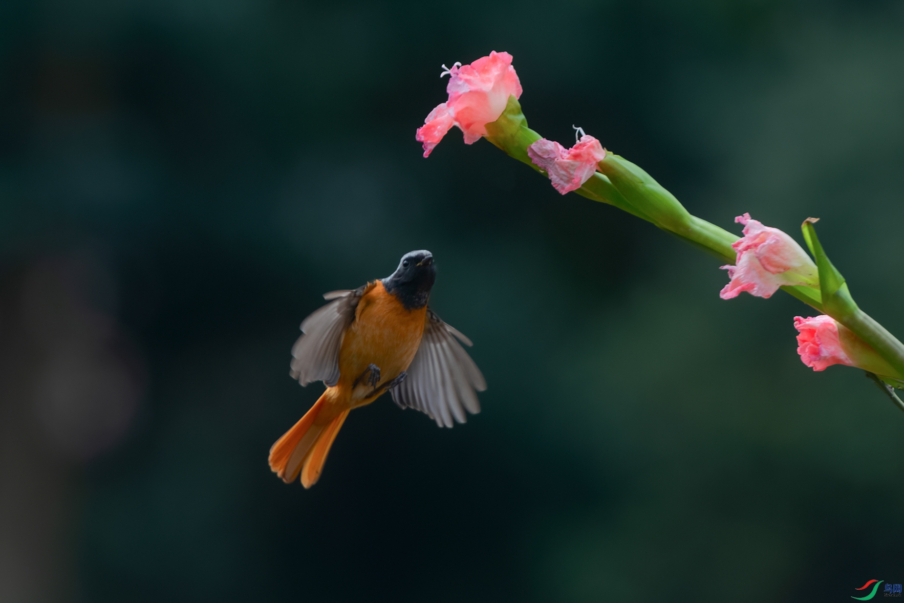DSC_0056_DxOa.jpg