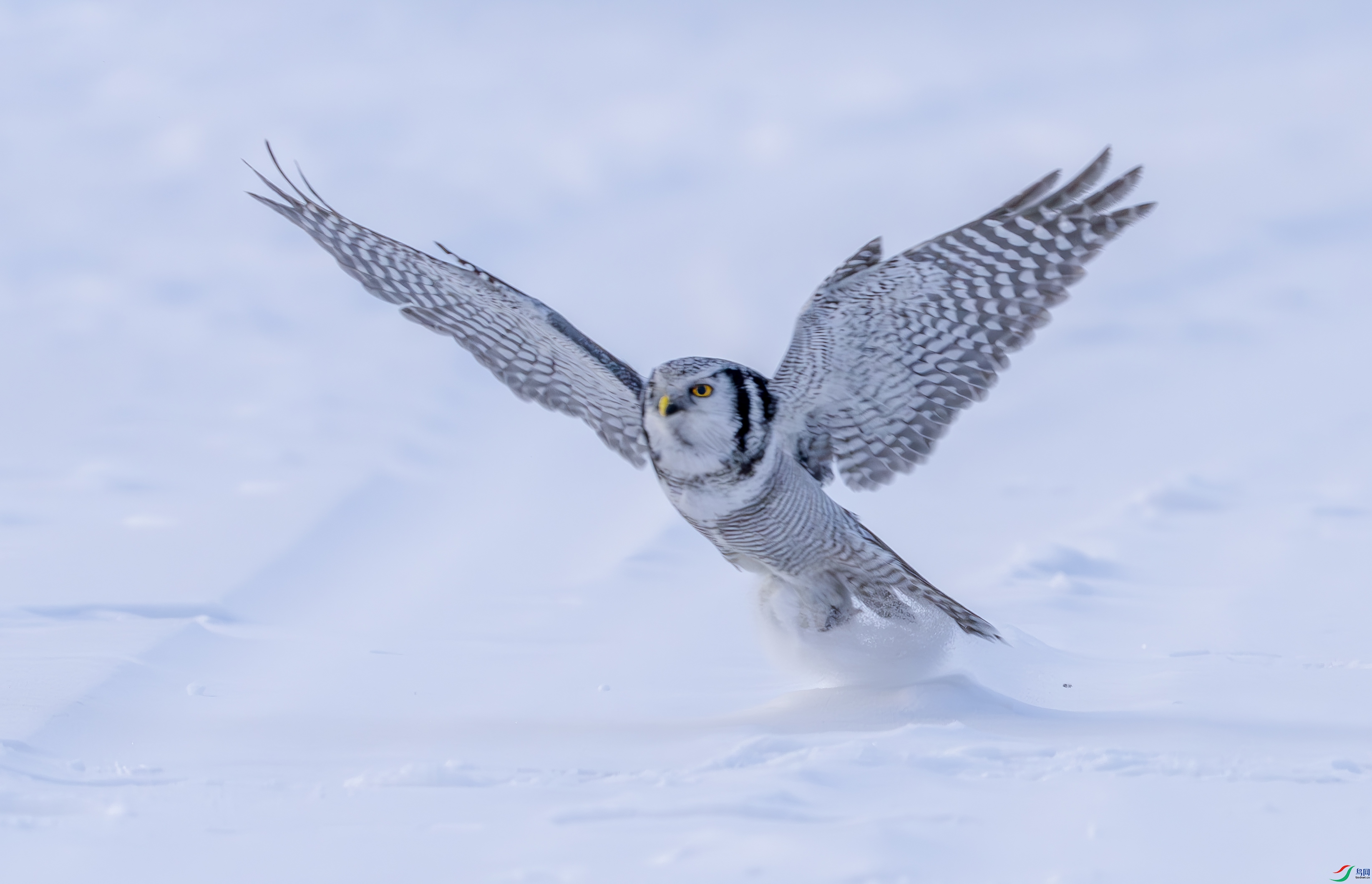 DSC07390-����ǿ-NR ����..jpg