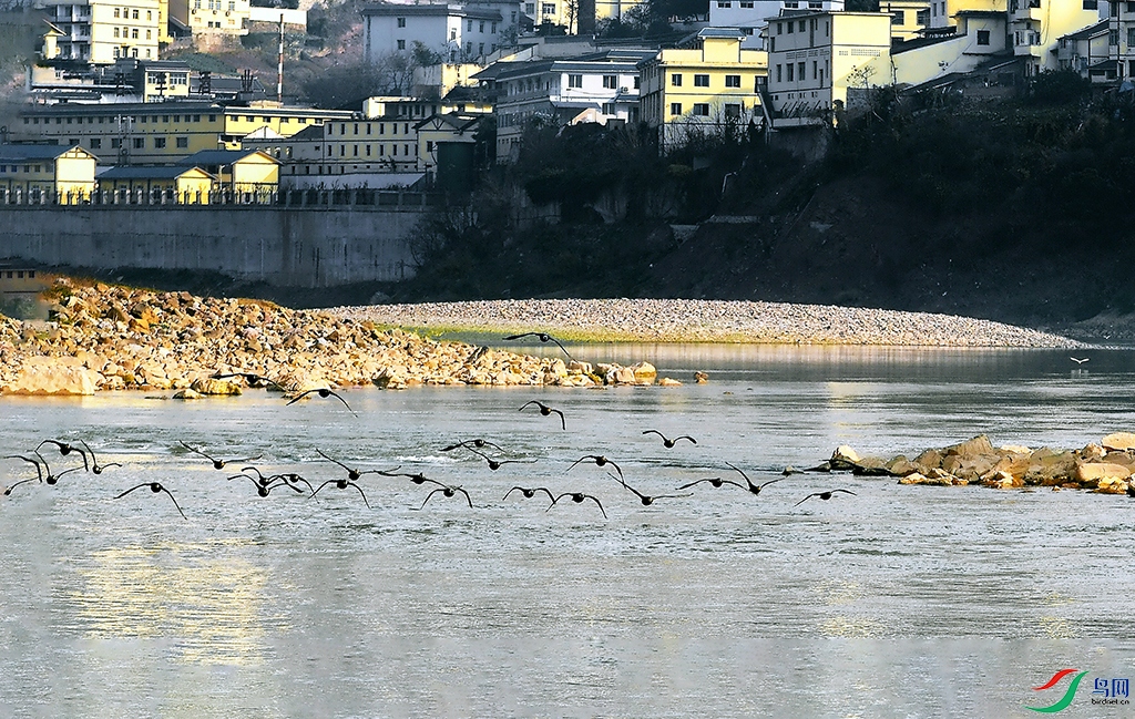 DSC_5826.jpg