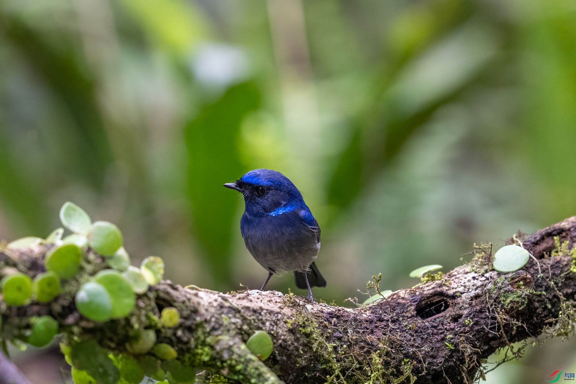 DSC_6527.jpg