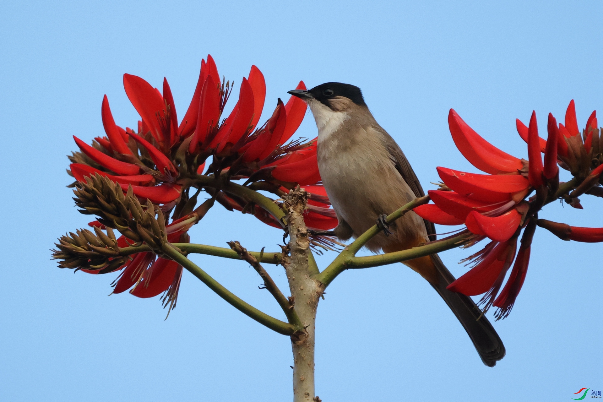 ���� (2)_����.jpg