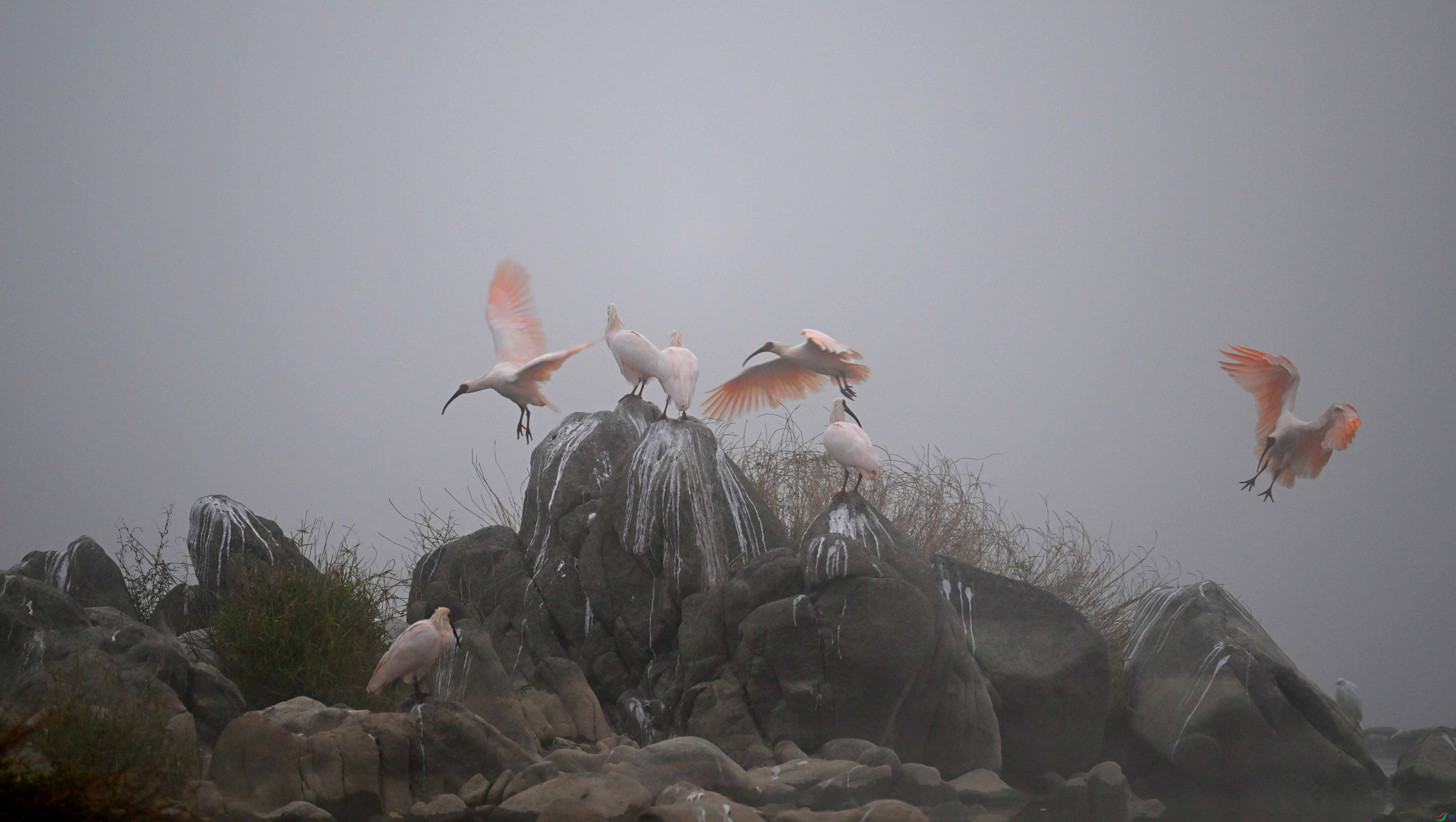 DSC_8547 ����.jpg