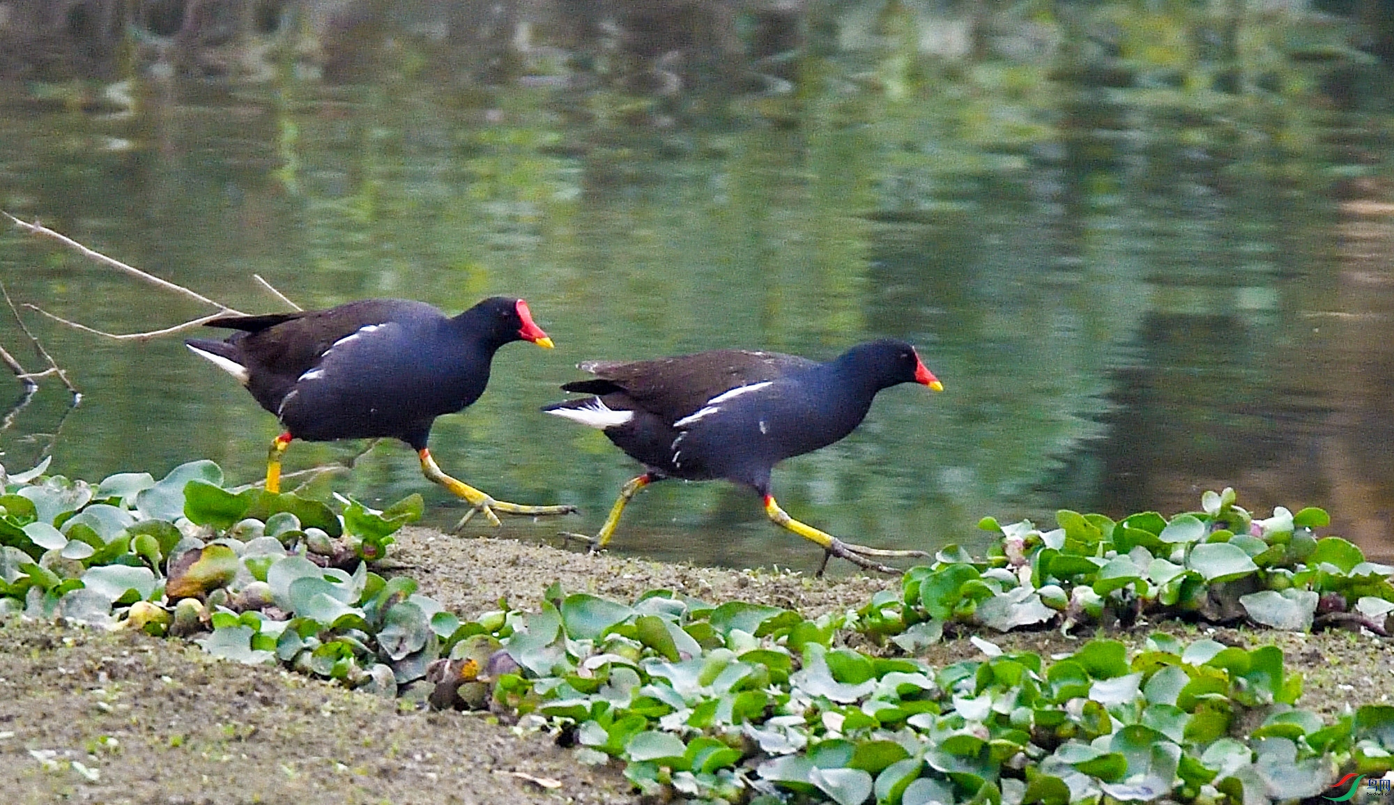 DSC_5231.jpg