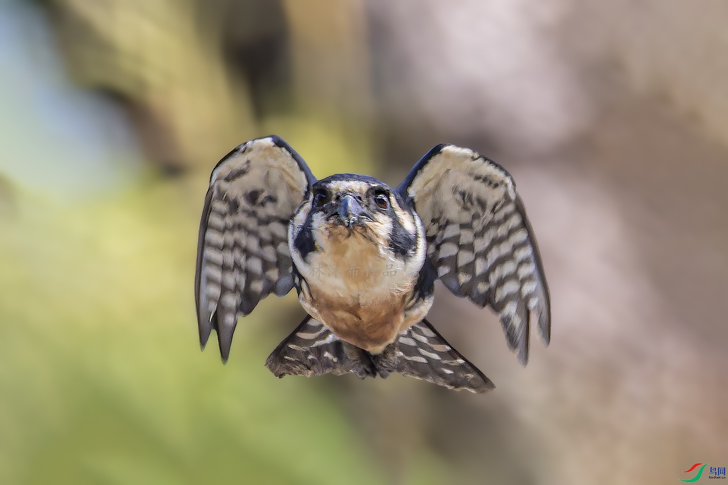 _97A5848-CR3 copy.jpg