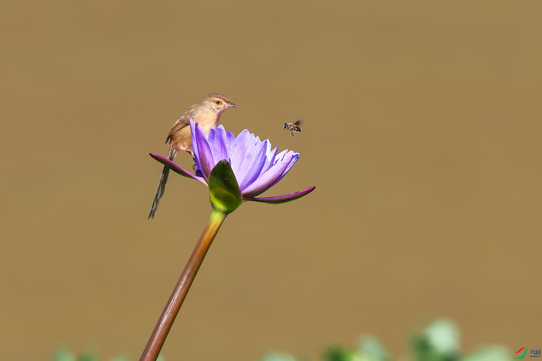 0E2A7908_����.jpg