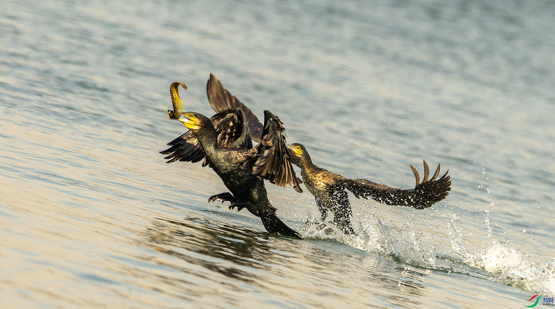 1031 ����.jpg