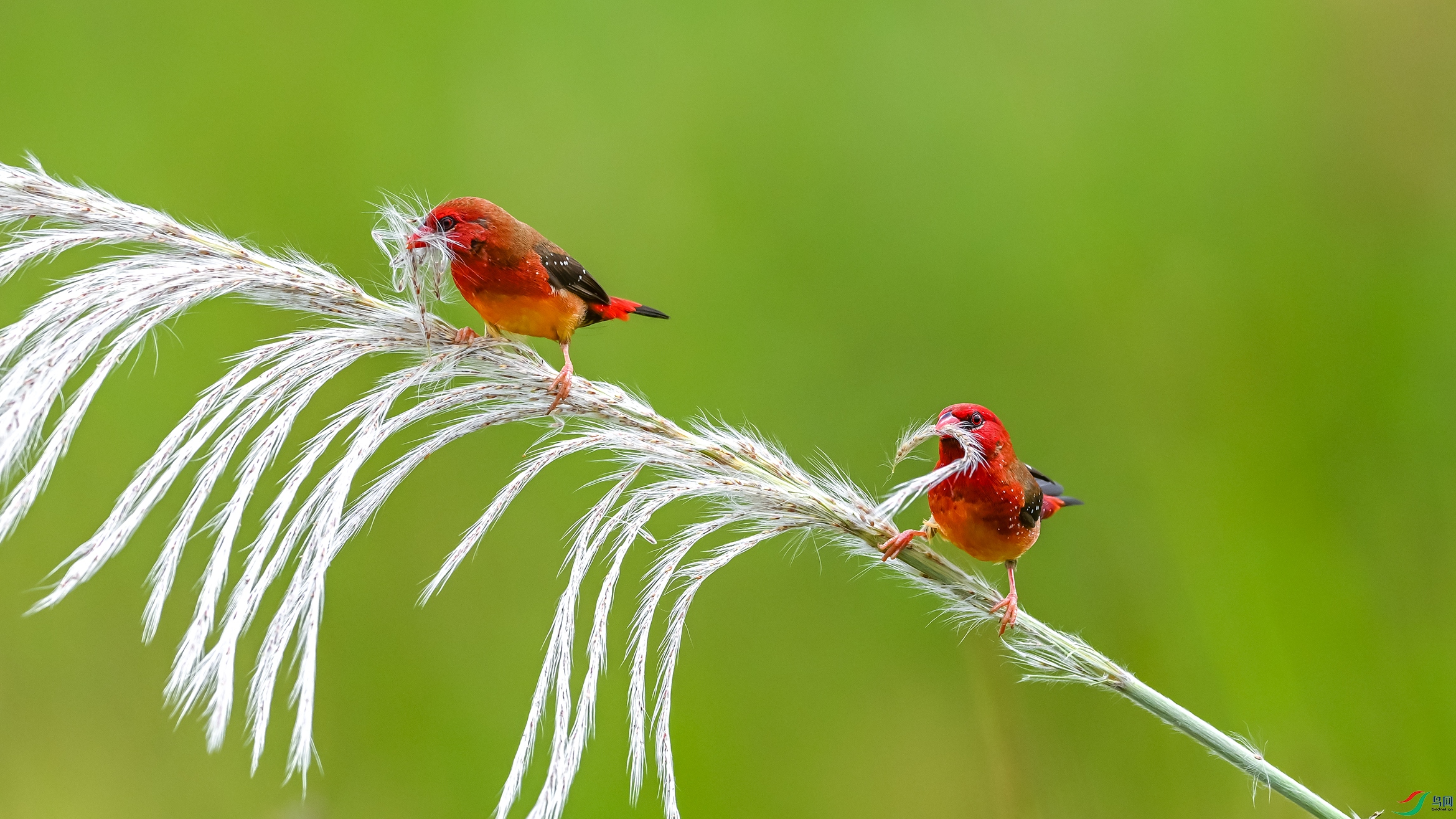 5008 ����.jpg