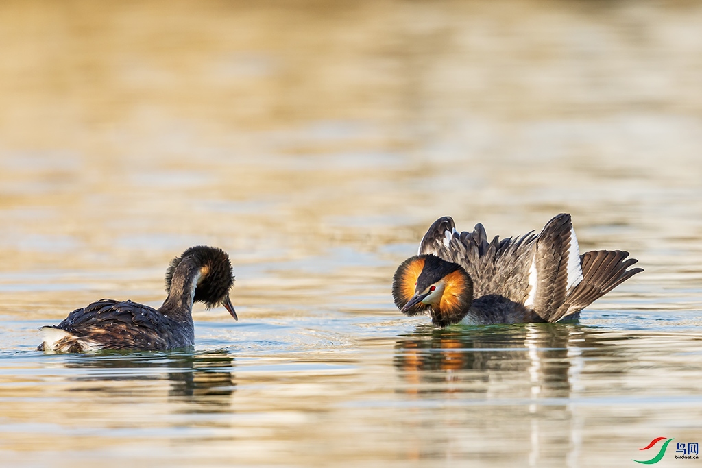 hnsq220226 (4937).jpg