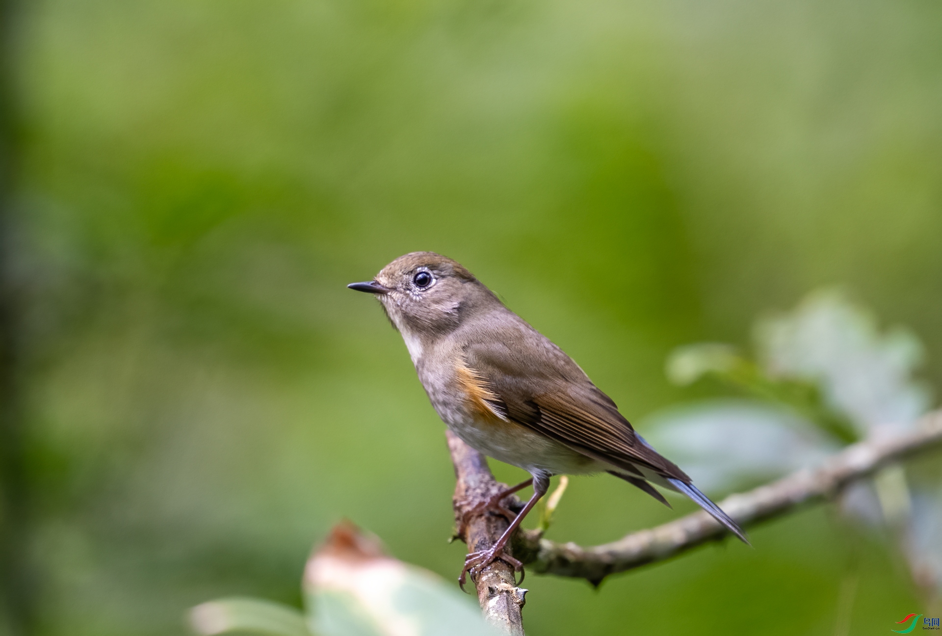 DSC_5856.jpg